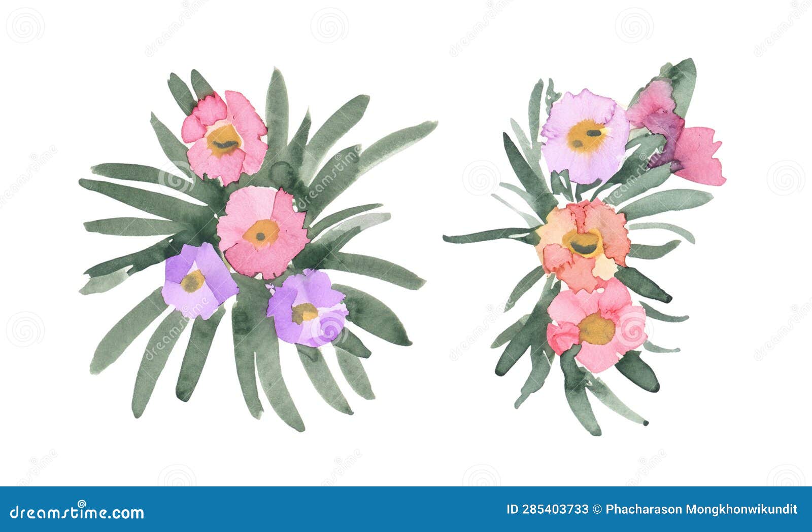 Watercolor Flowers. Hand Painted Abstract Botanical Illustrations