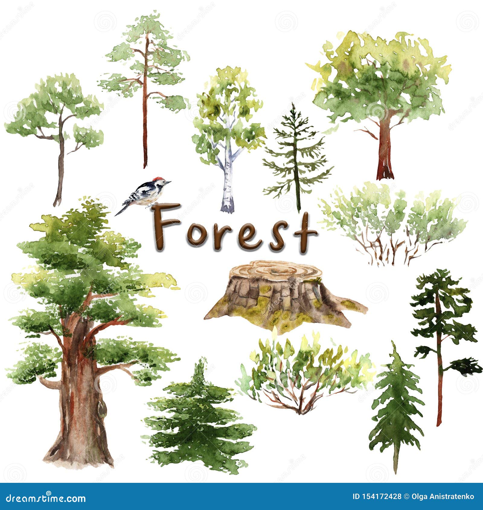 Download Watercolor Forest Set: Trees, Bushes, Spruce, Oak Stock ...