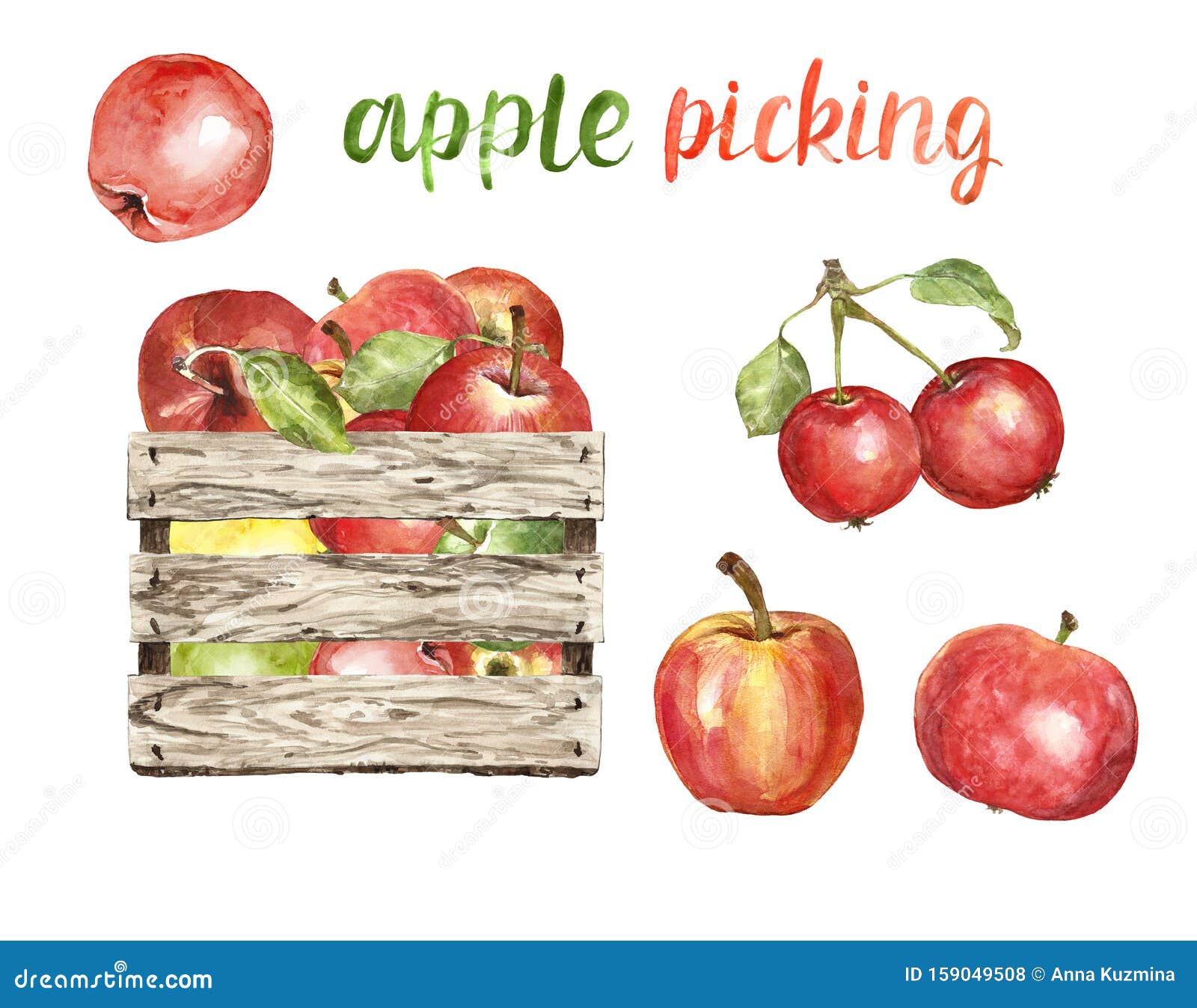 https://thumbs.dreamstime.com/z/watercolor-fresh-ripe-apples-wooden-bushel-basket-isolated-autumn-harvest-clipart-apple-picking-illustration-white-hand-159049508.jpg