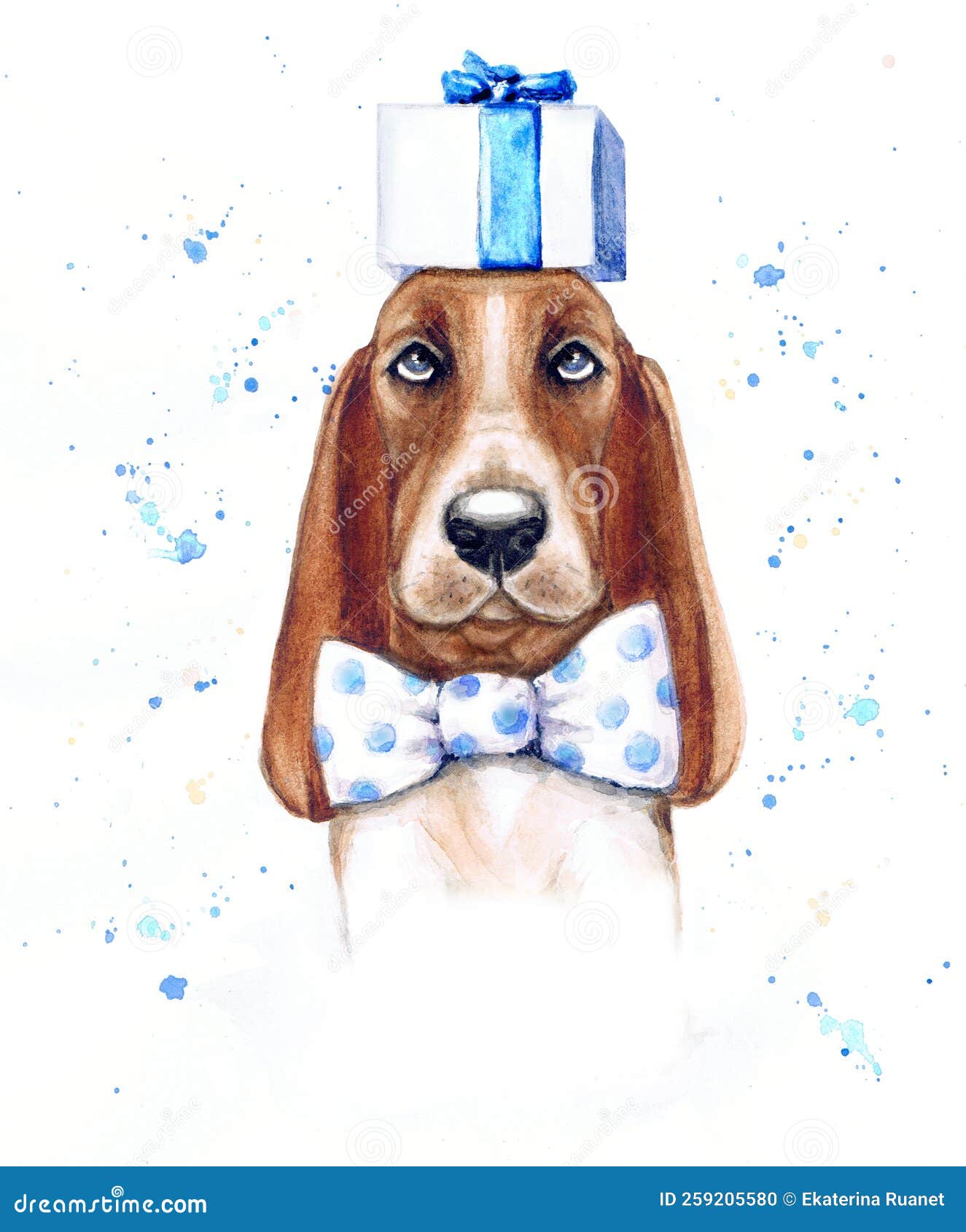 watercolor funny basset hound with preset and bow