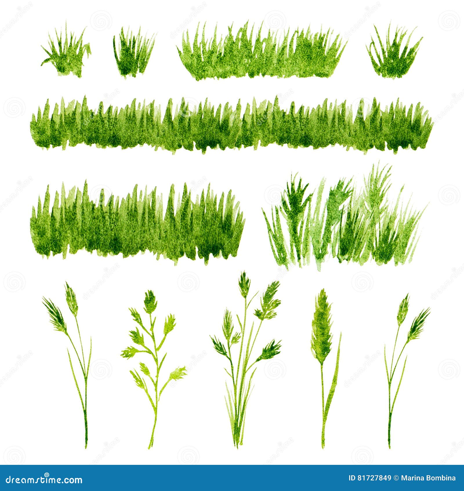 Watercolor Green Grass Set on White Background Stock Image
