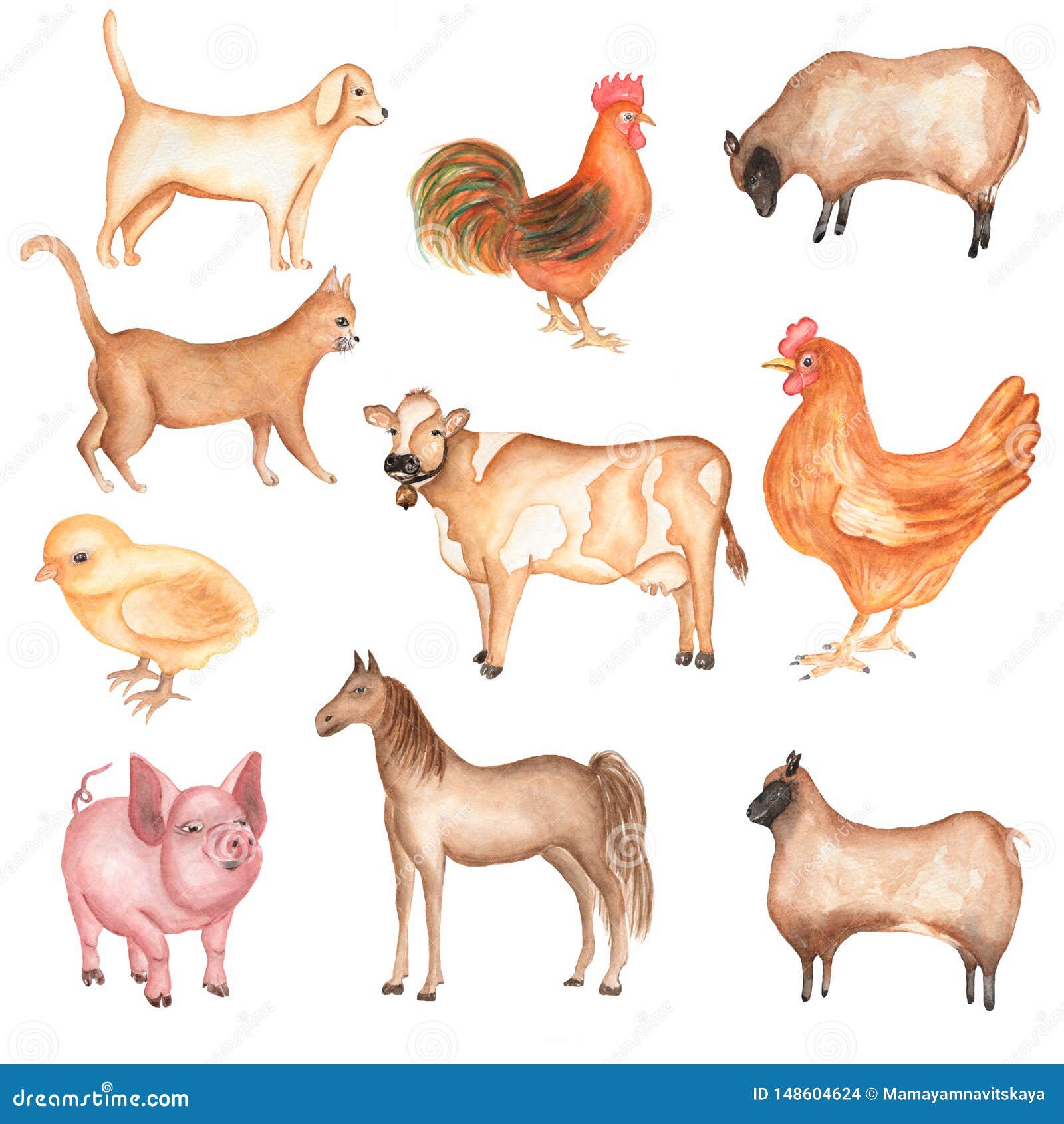 Watercolor Hand Drawn Farms Animal Set. Cute Domestic Pets Watercolor  Illustration. Horse. Hen. Pig. Sheep. Rooster. Chicken. Dog Stock  Illustration - Illustration of goat, animals: 148604624