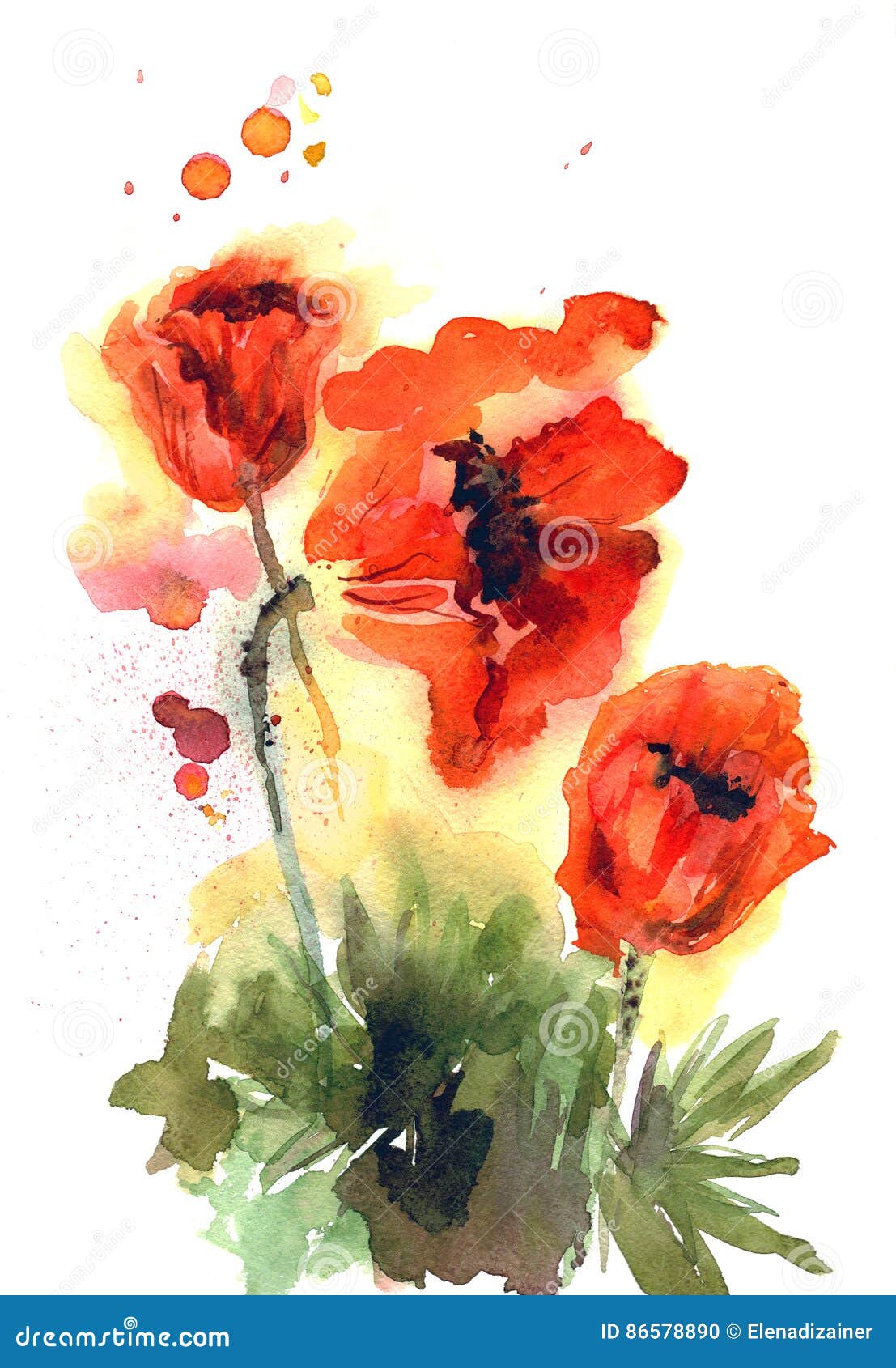 Watercolor Hand Drawn Orange Poppies on White Background. Stock ...