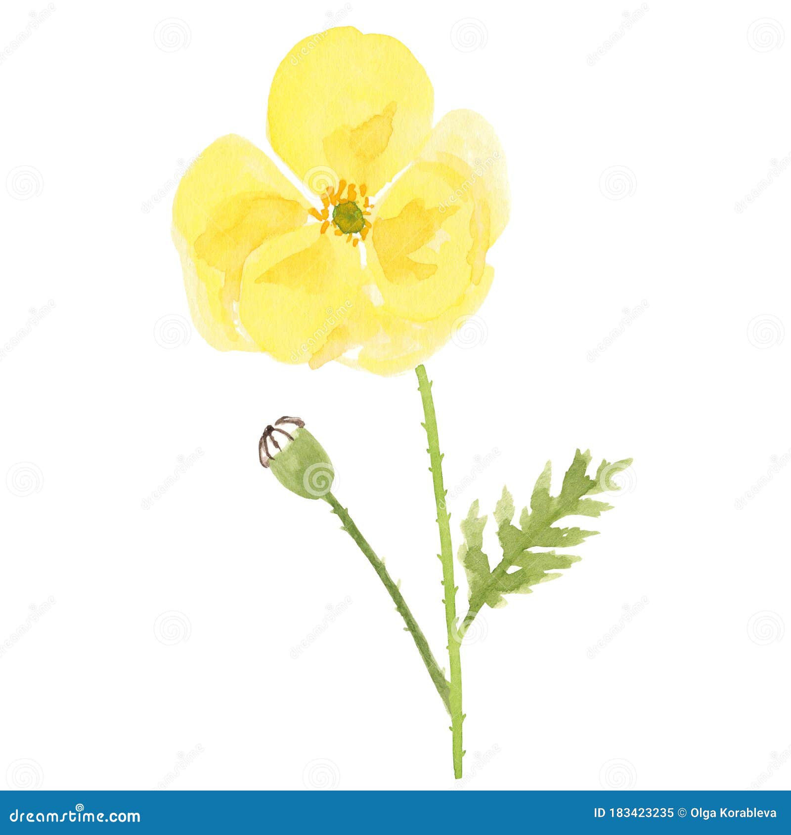 Yellow Poppy Flower Stock Illustrations – 2,571 Yellow Poppy Flower ...