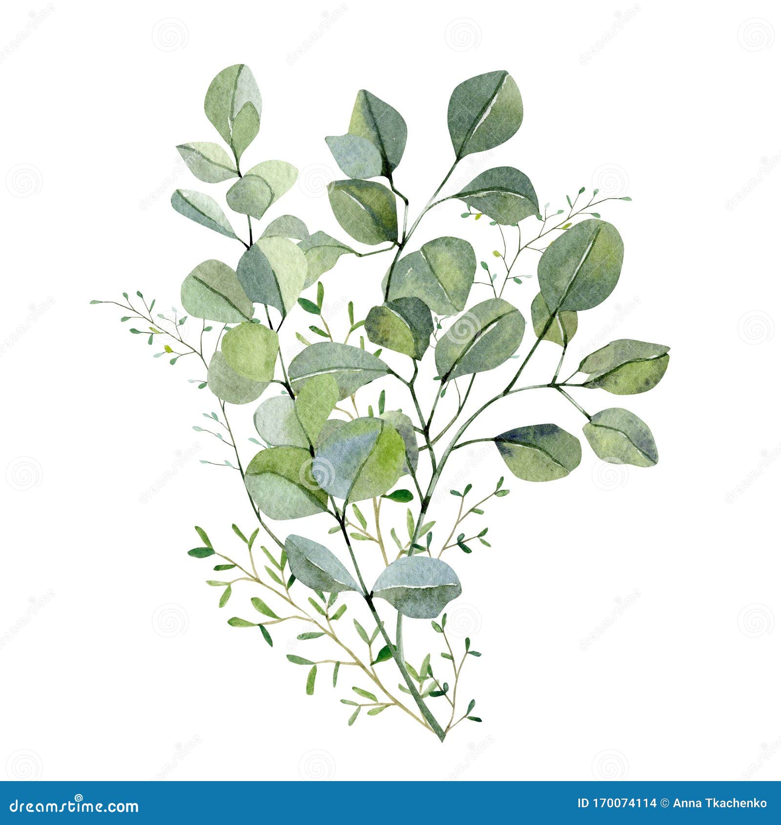 watercolor hand painted bouquet silver dollar eucalyptus and green plants. frolar branches and leaves  on white background