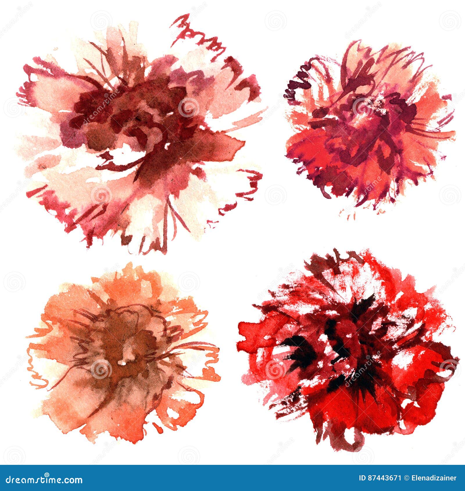 Watercolor Hand Painted Carnations Isolated Stock Illustration