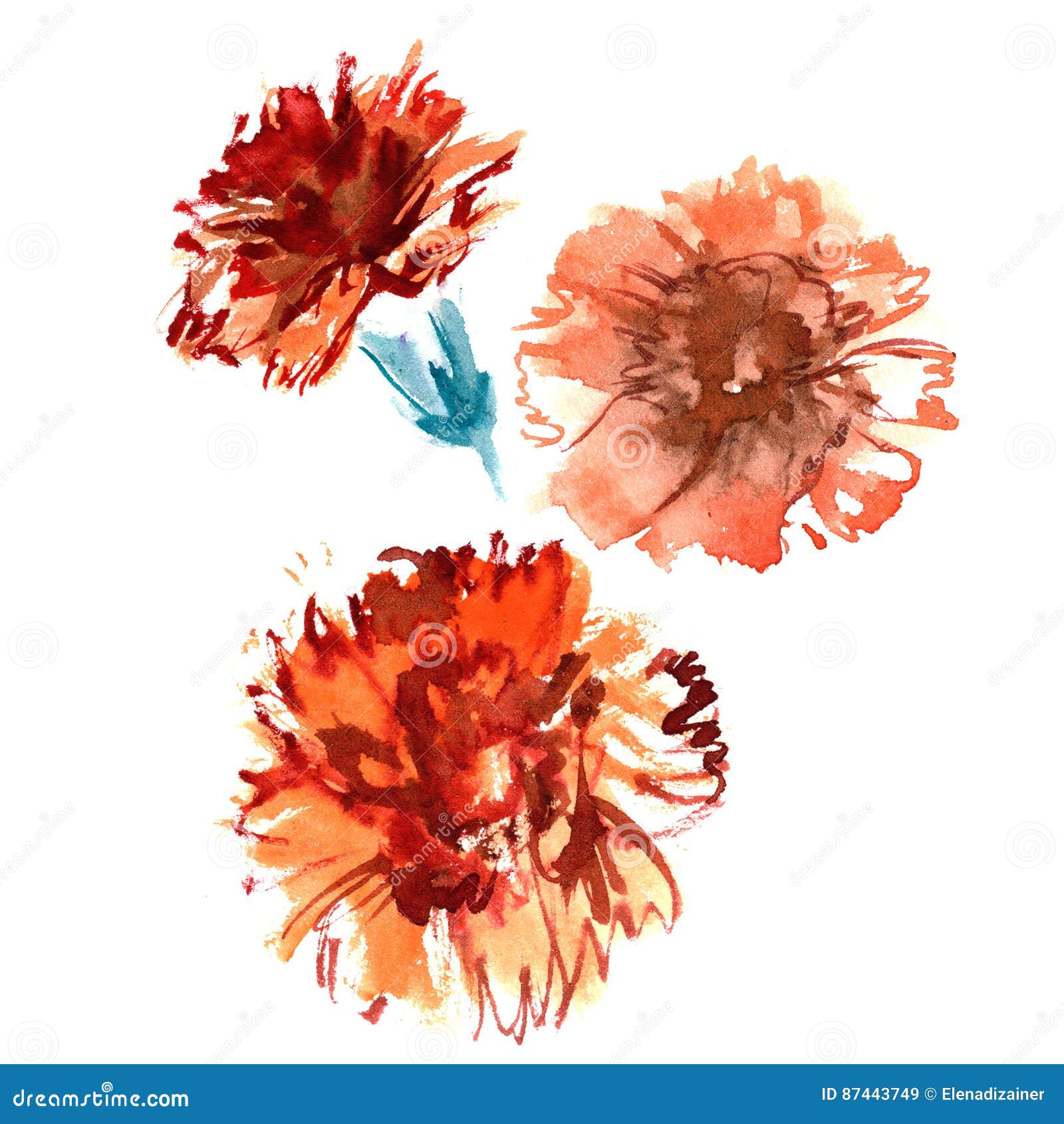 Watercolor Hand Painted Carnations Isolated Stock Illustration