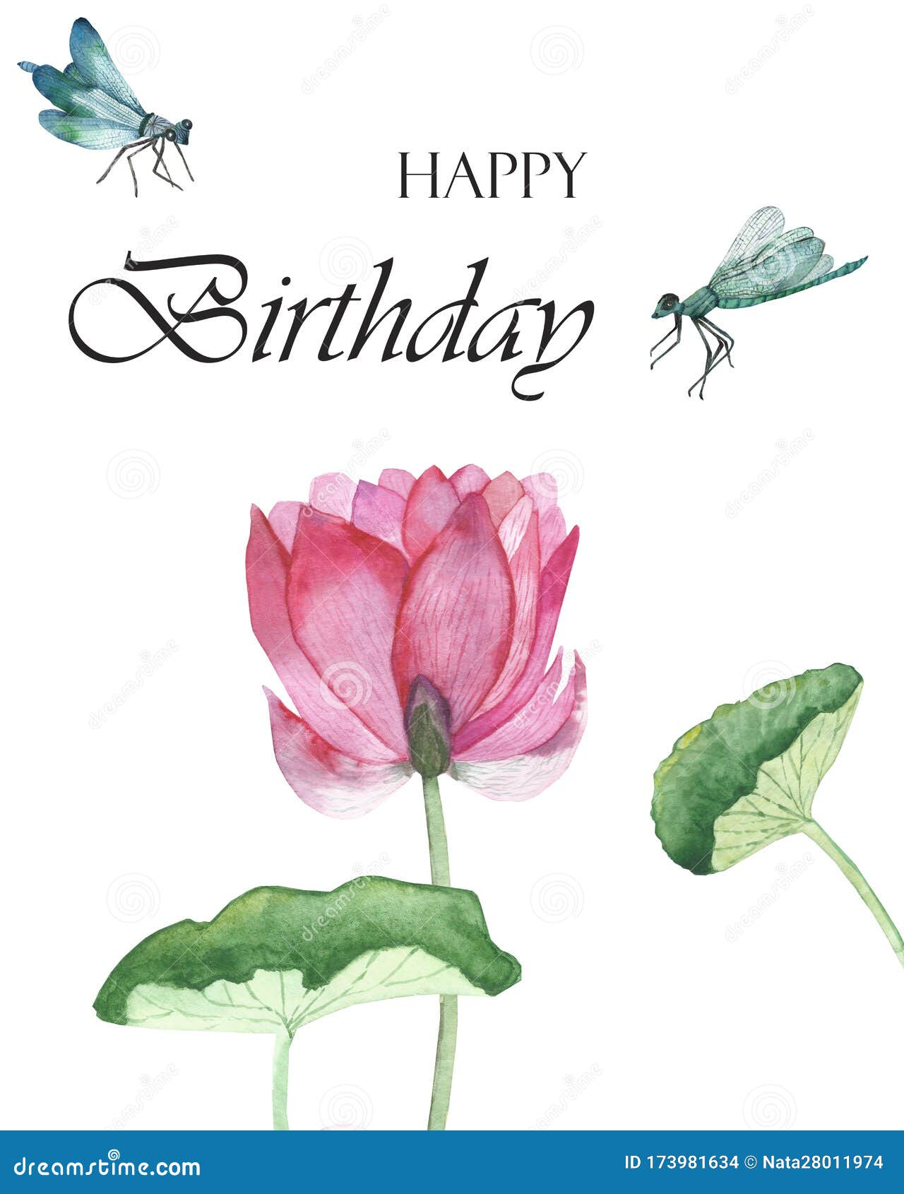 Happy Birthday Lotus Flower Images Watercolor Hand Painted Nature Congratulate Composition With Pink Lotus Blossom Flower, Green Water Leaves, Stem And Blue Dragonfl Stock Illustration - Illustration Of Flower, Birthday: 173981634 Happy Birthday Lotus Flower Images Watercolor Hand Painted Nature Congratulate Composition With Pink Lotus Blossom Flower, Green Water Leaves, Stem And Blue Dragonfl Stock Illustration - Illustration Of Flower, Birthday: 173981634