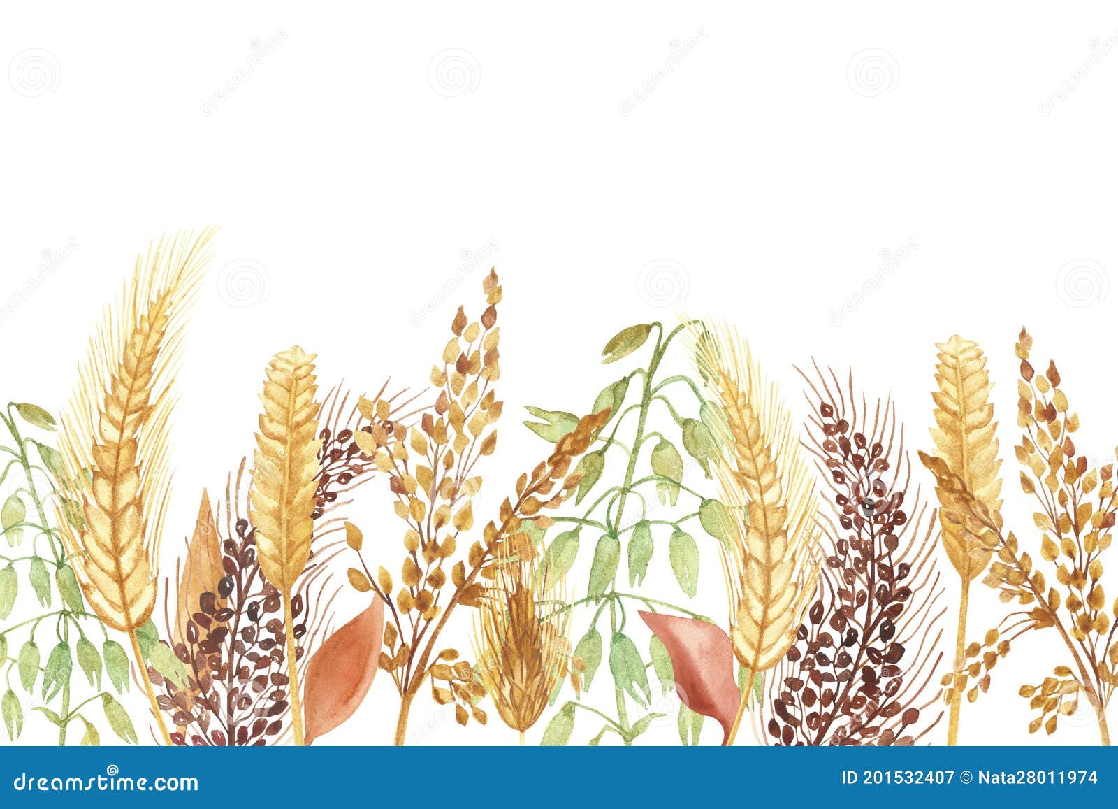 watercolor hand painted nature grain field banner composition with golden rye ear, green and brown cereal ranches and orange leave