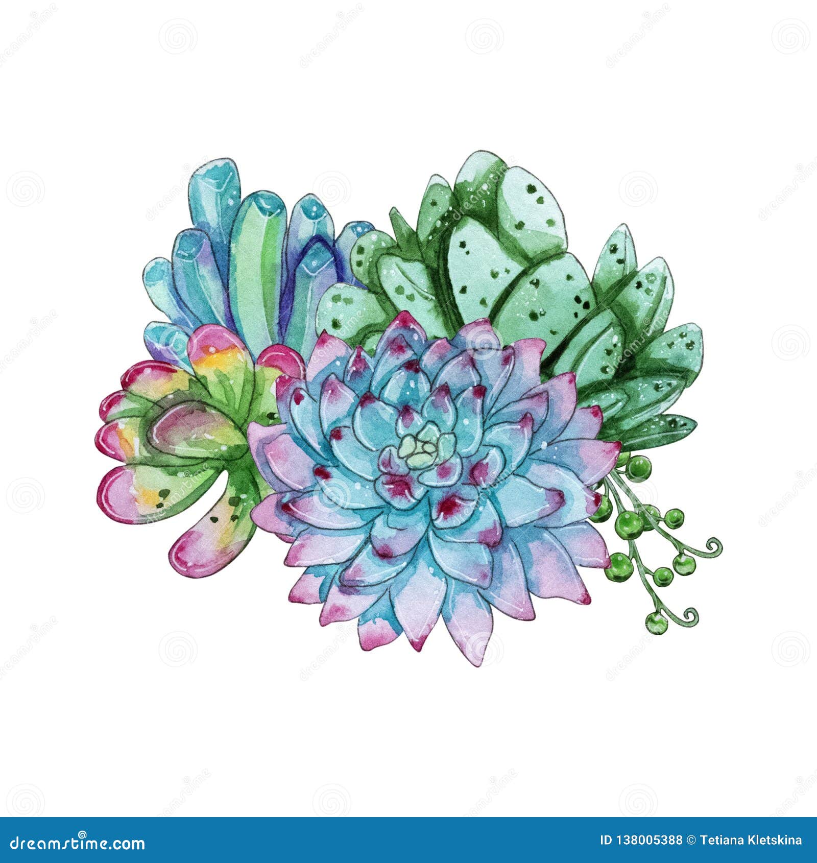 Download Watercolor Handpainted Succulent Plant Composition Stock Illustration Illustration Of Cartoon Composition 138005388