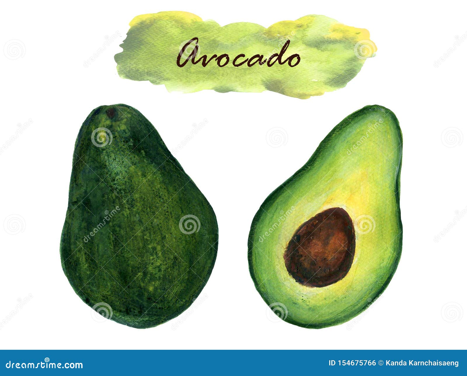 Avocado Paint Stock Illustrations – 1,557 Avocado Paint Stock 