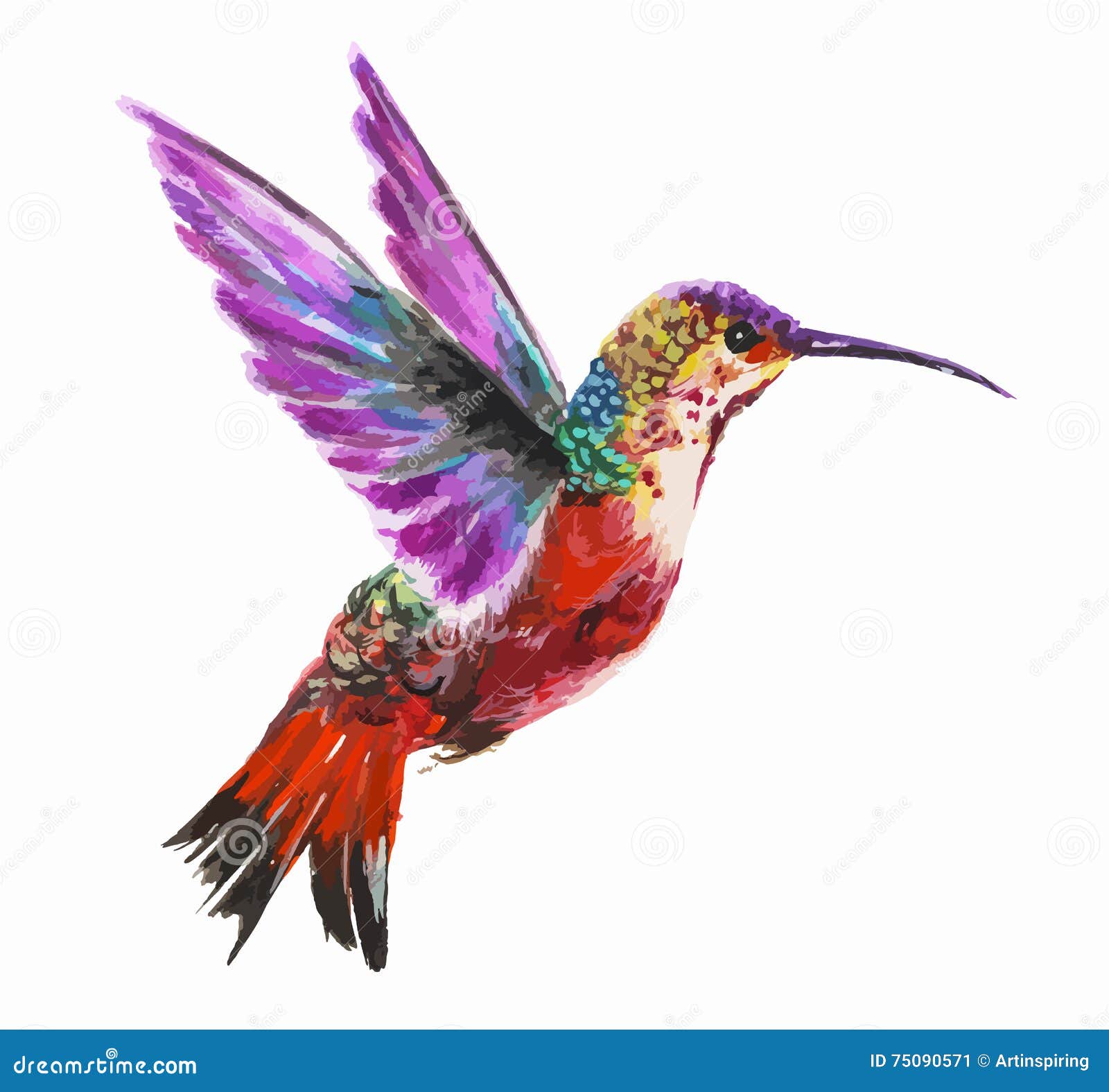 Download Watercolor hummingbird. stock vector. Illustration of ...
