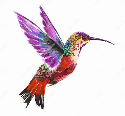 Watercolor hummingbird. stock vector. Illustration of humming - 75090571