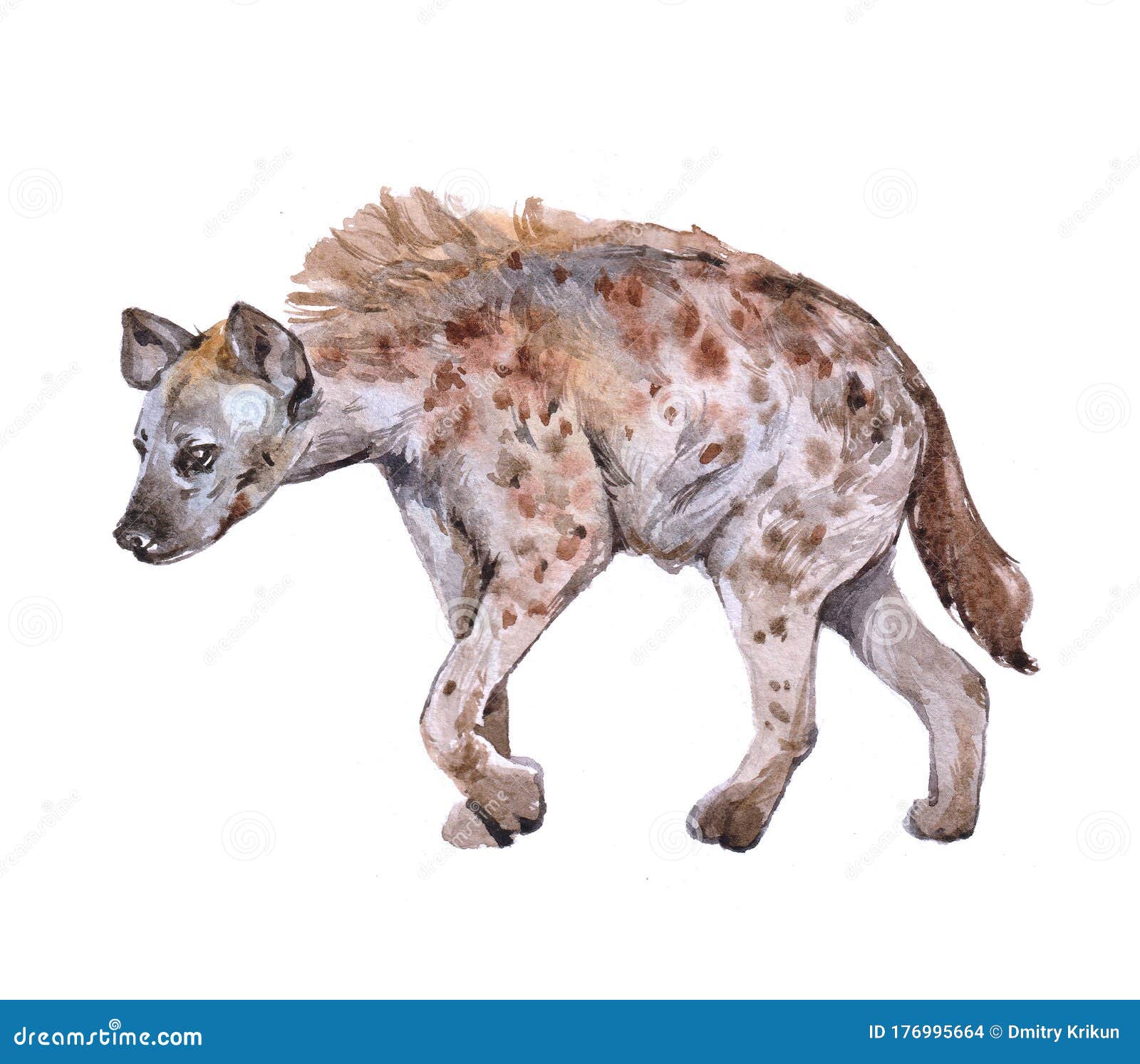 watercolor hyena animal