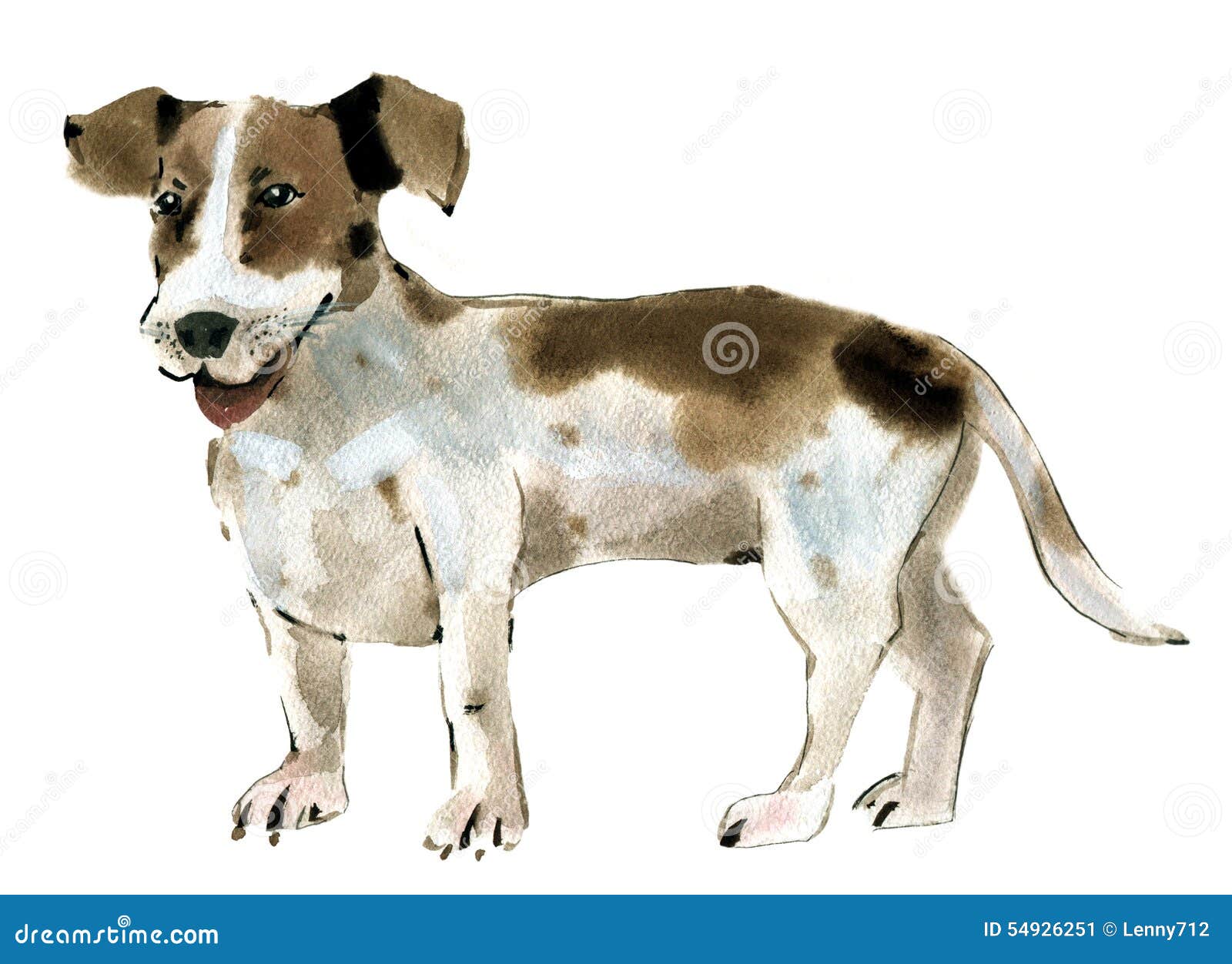 2,100+ Jack Russell Terrier Stock Illustrations, Royalty-Free