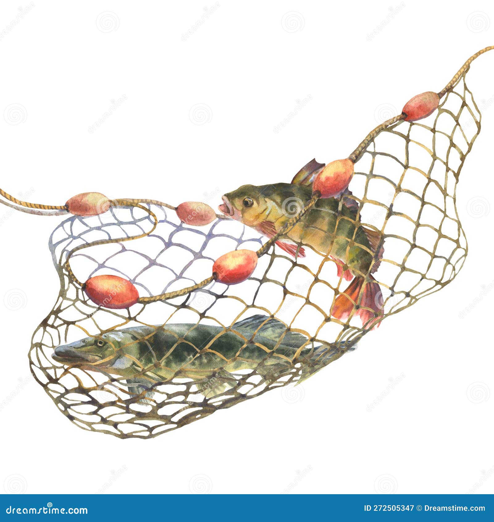 Fishing Net With Fish Clipart Fishing Net With Fish Clipart