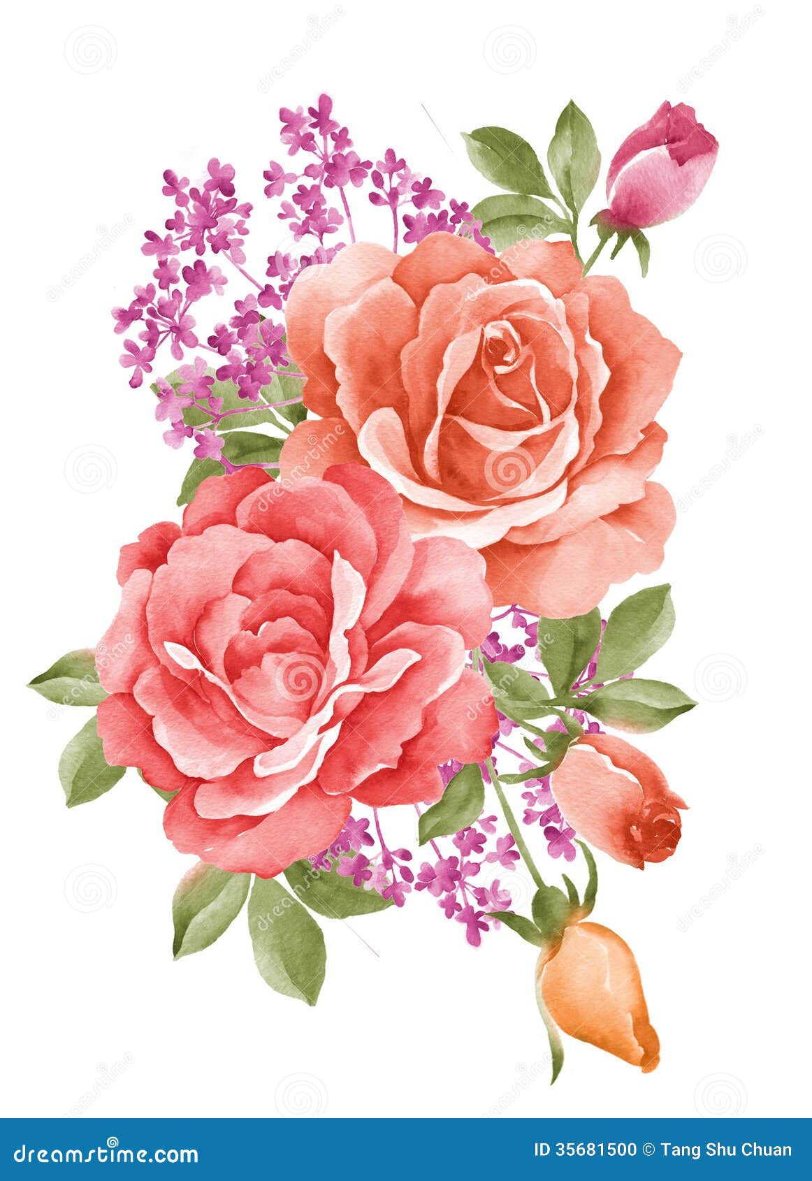 Watercolor Illustration Flower Stock Illustration - Illustration of ...