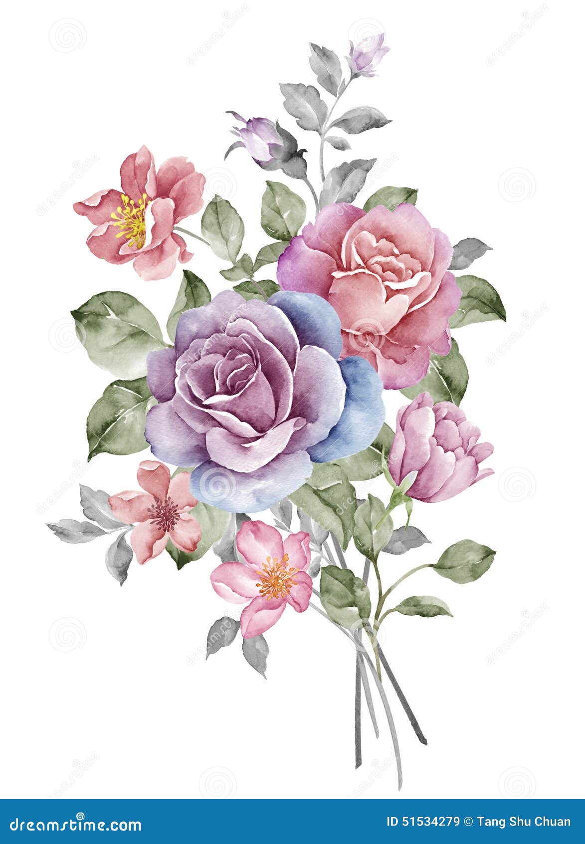 Watercolor illustration stock illustration. Illustration of petal ...