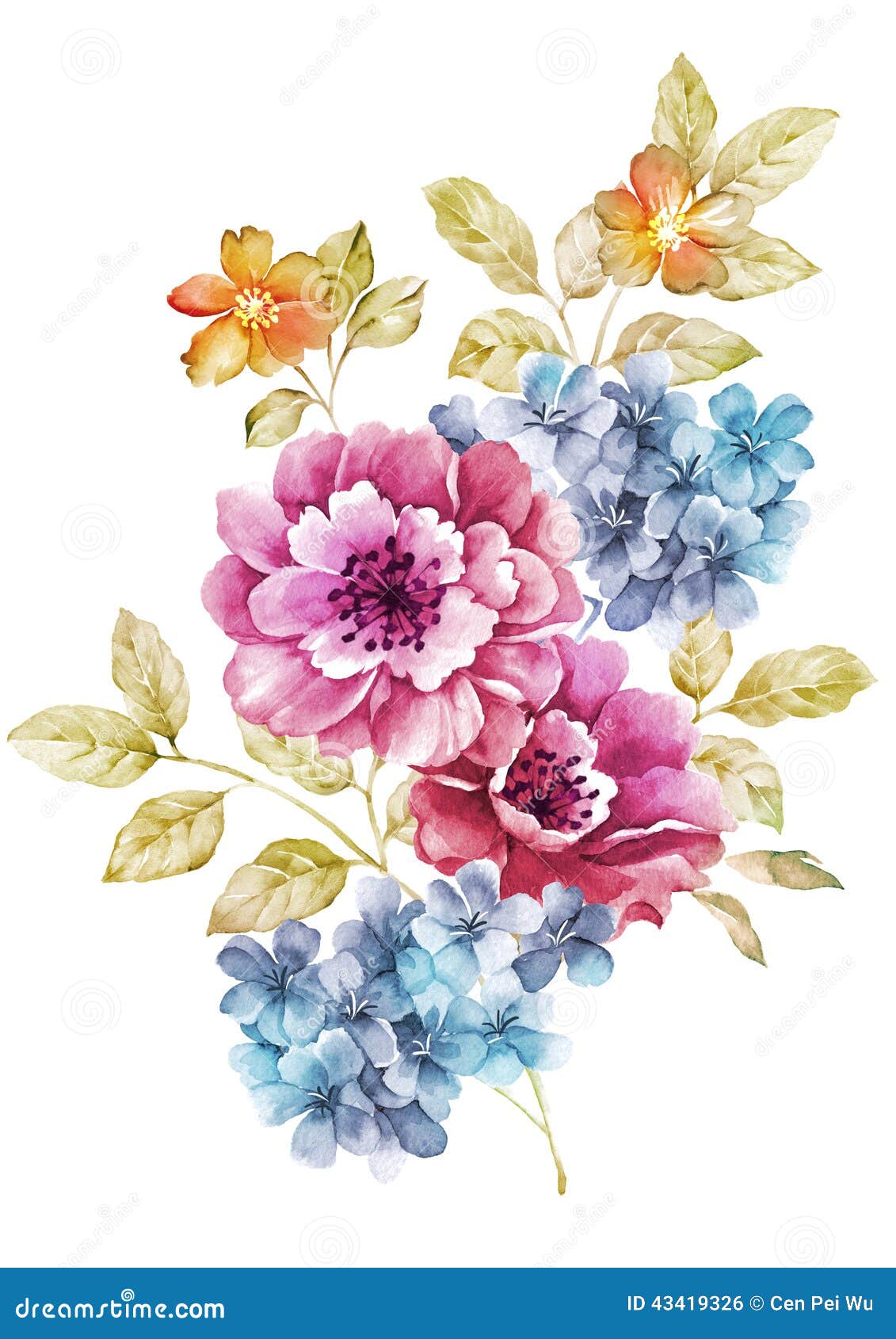 Watercolor Illustration Of Stylized Astra Flower. Color Illustration Of ...