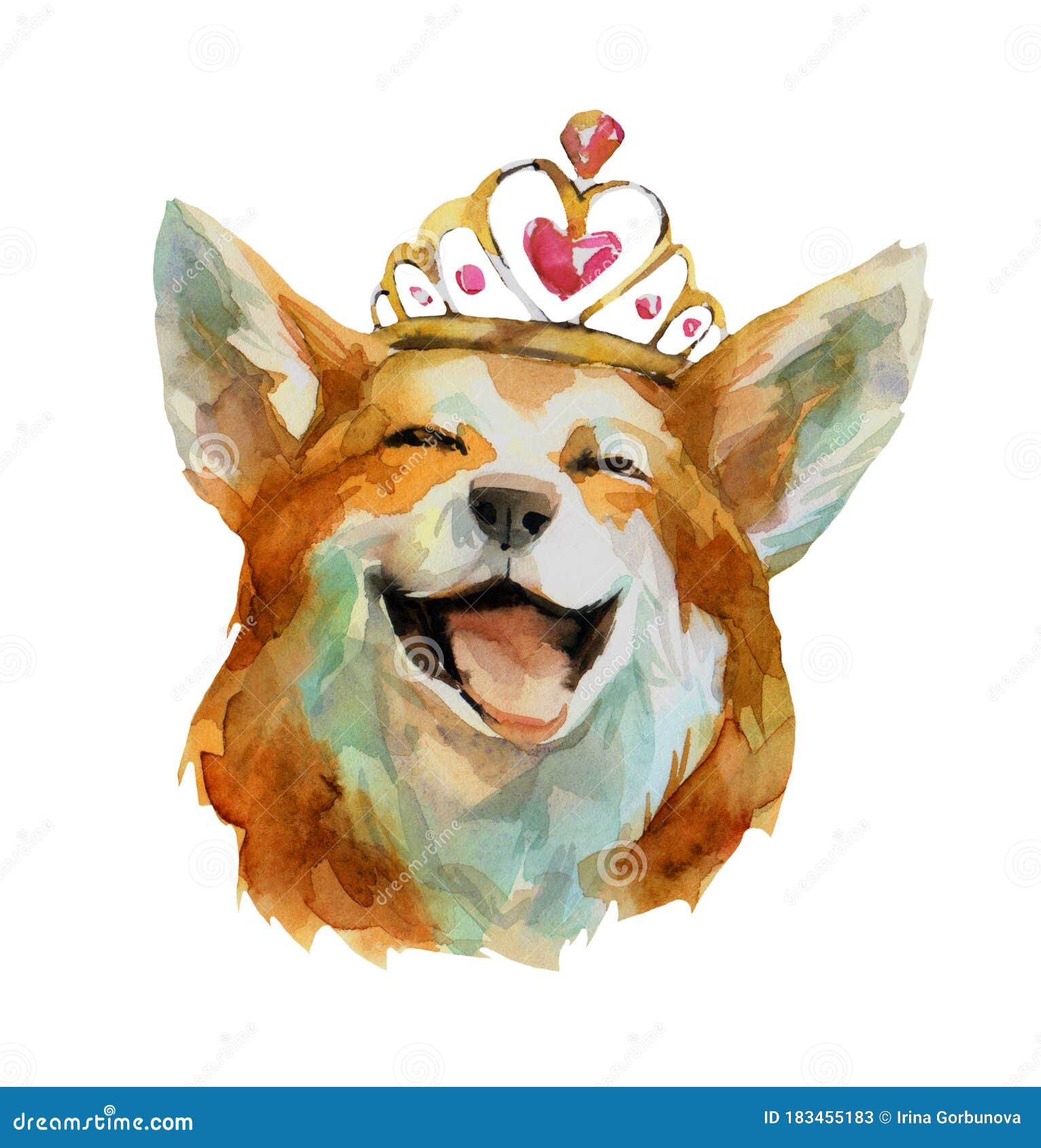 crown corgi