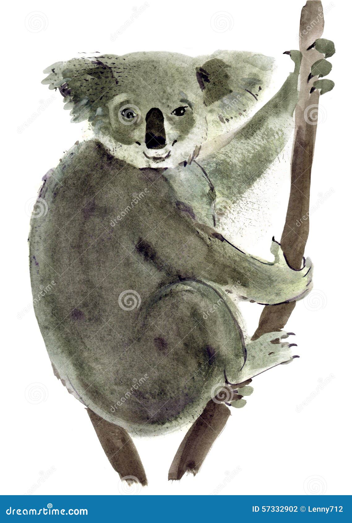 Watercolor Illustration Of Koala In White Background. Stock