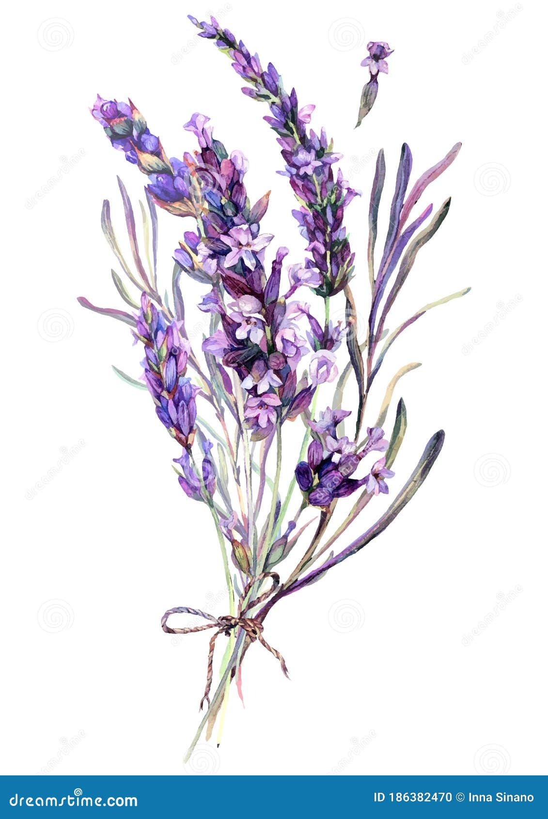 watercolor  of lavender bouquet