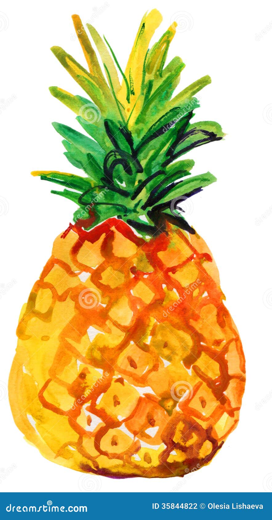 Watercolor Illustration of Pineapple Stock Photo - Image of healthful ...