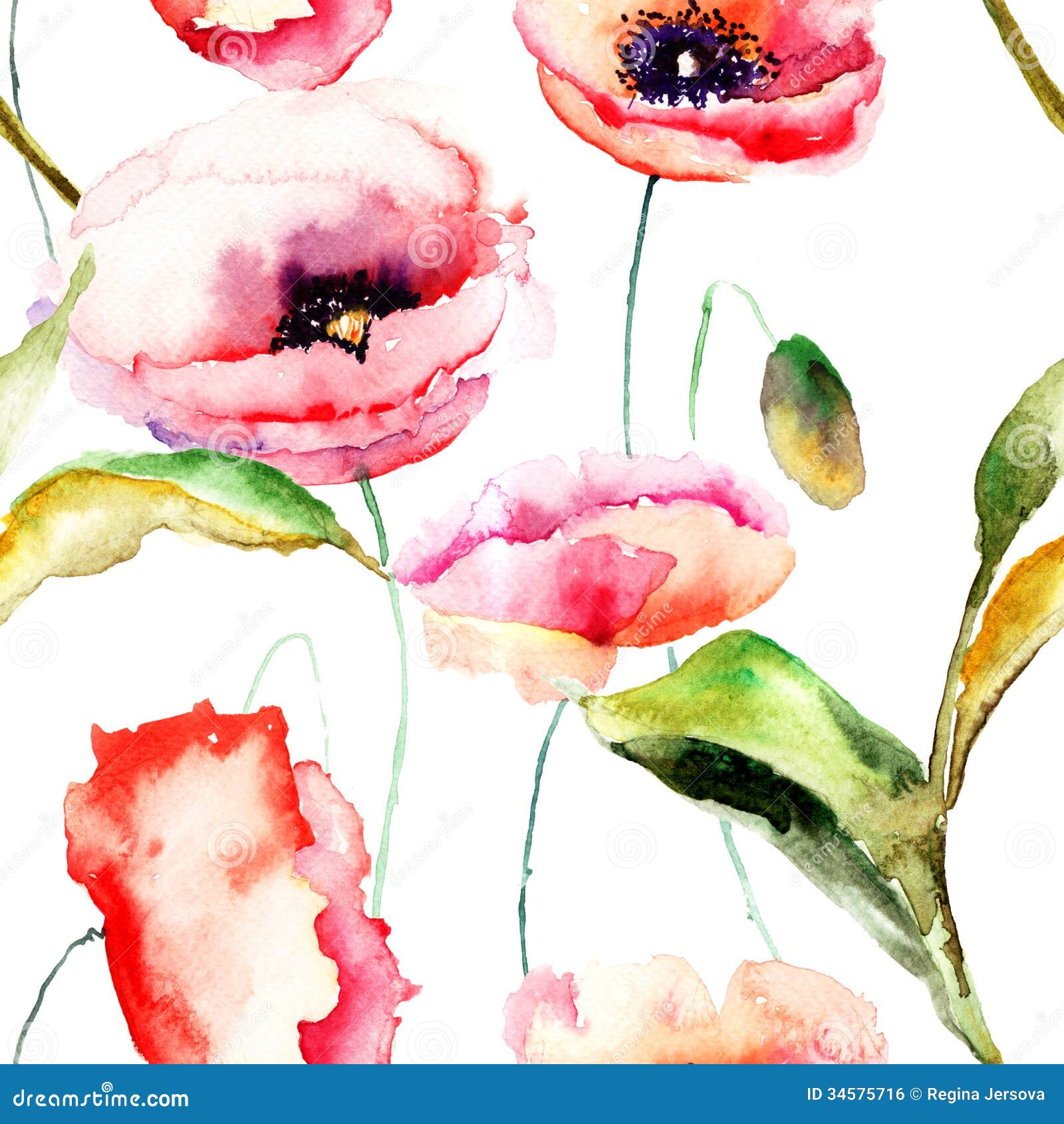 Watercolor Illustration of Poppy Flowers Stock Illustration ...