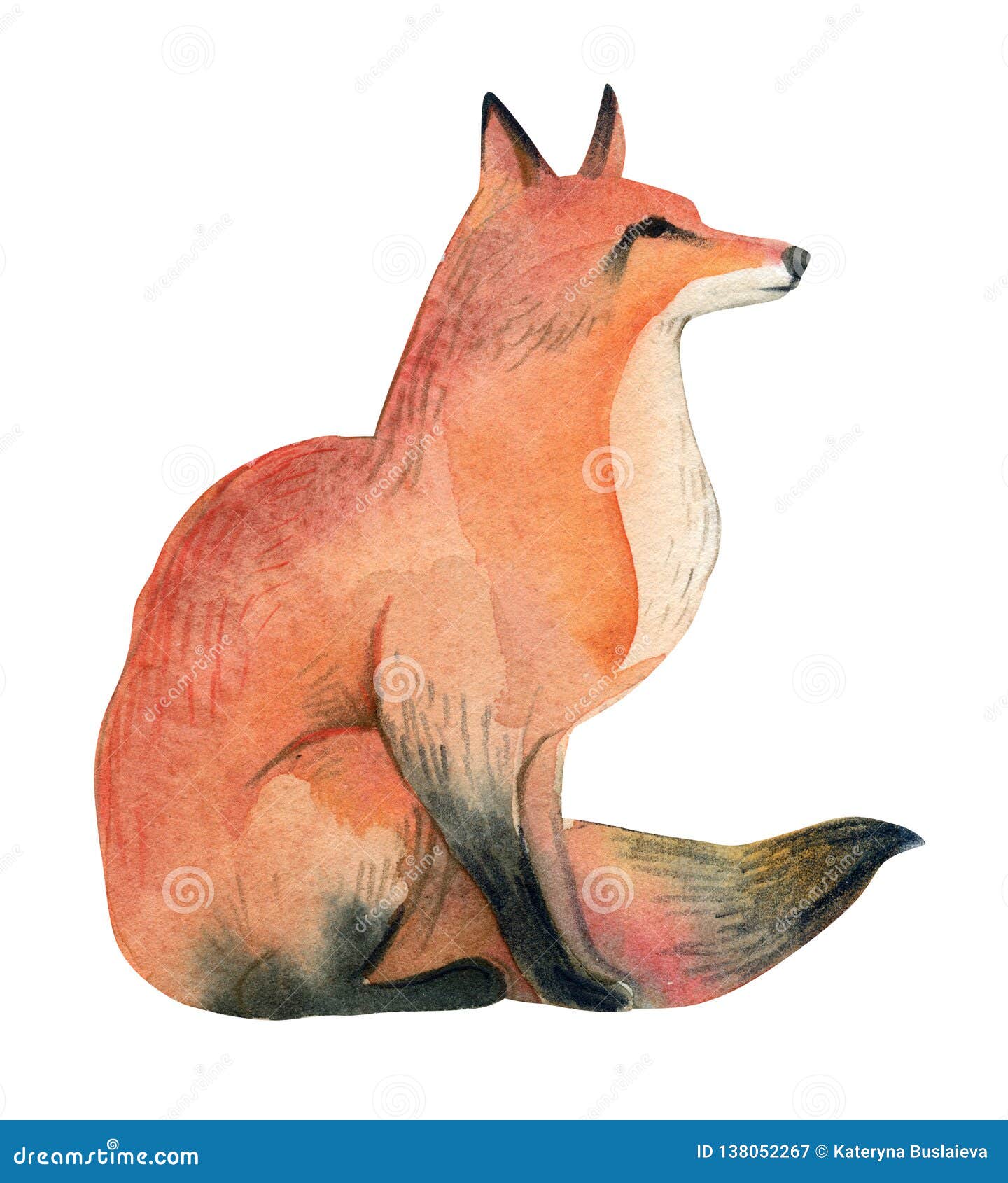 Wild red fox set Forest ginger animal flying  Stock Illustration  69693550  PIXTA