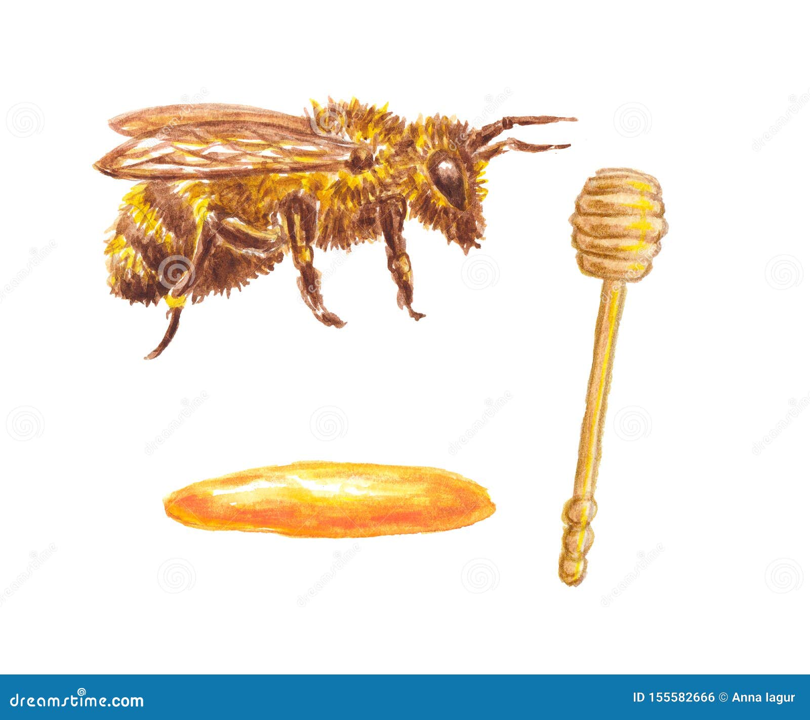 Download Watercolor Illustration Of Set With Bee, Honey And Spoon ...