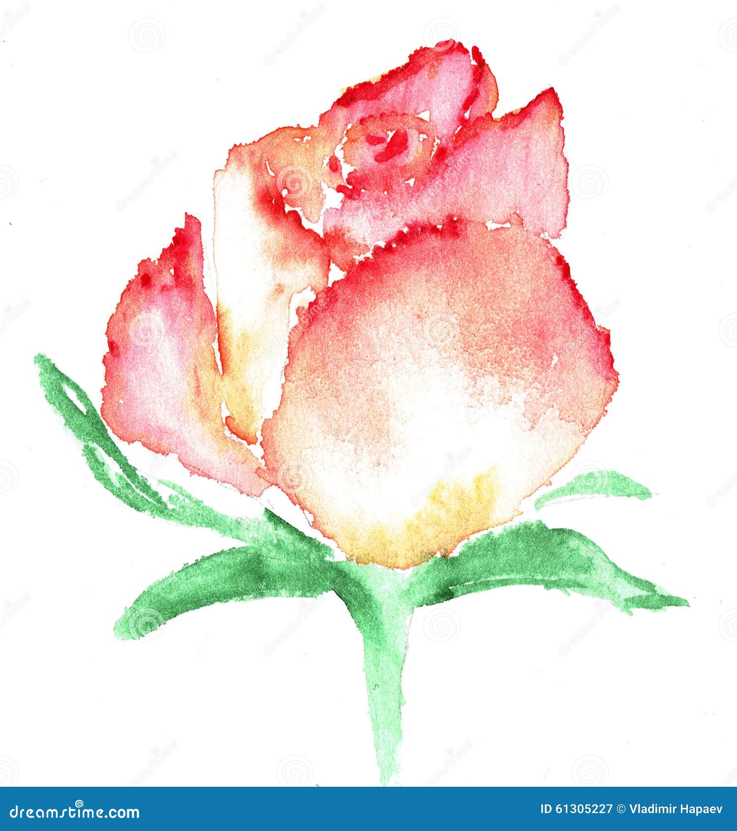 Watercolor Illustration of Stylized Rose Flower. Color Illustration of ...