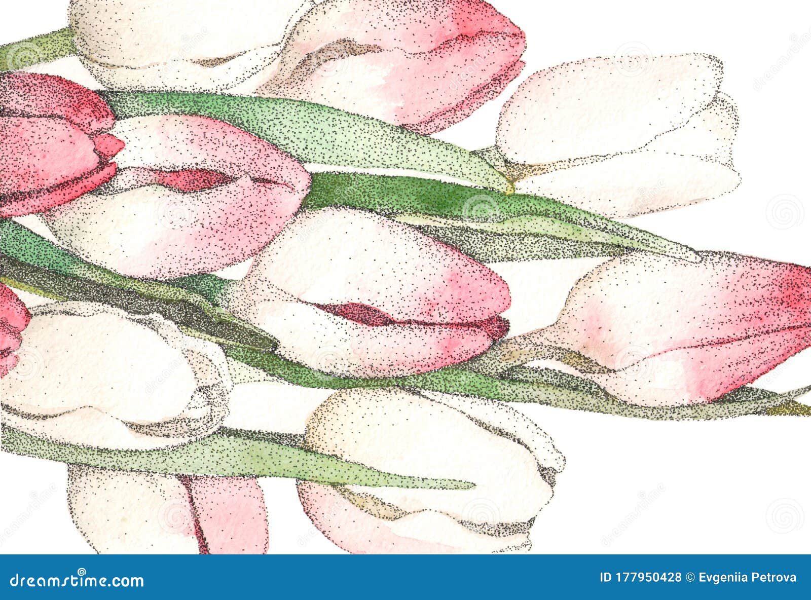 Watercolor Illustration Of Tulips In Pointillism Style Romantic