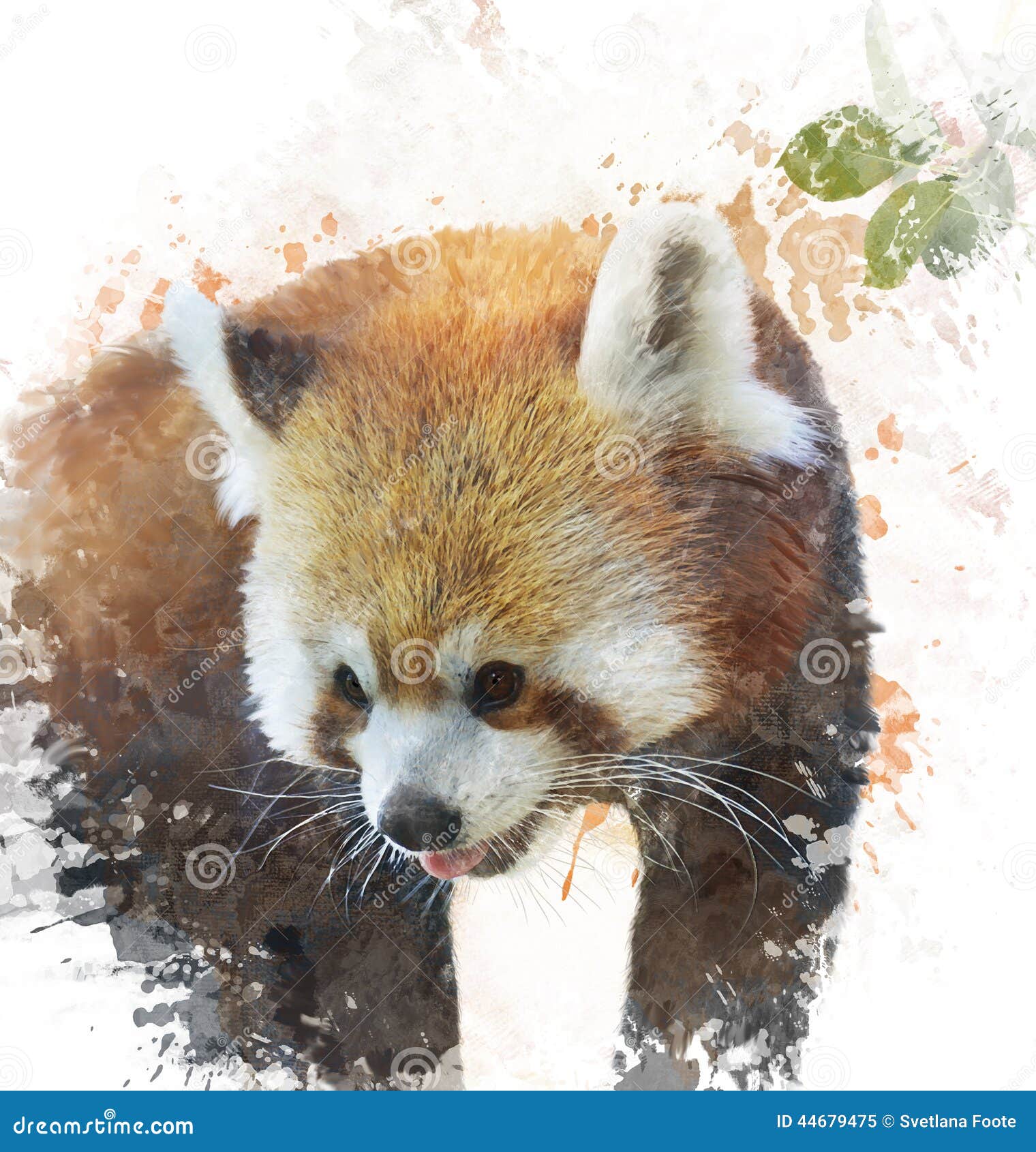 Watercolor Image of Red Panda Stock Illustration Illustration of