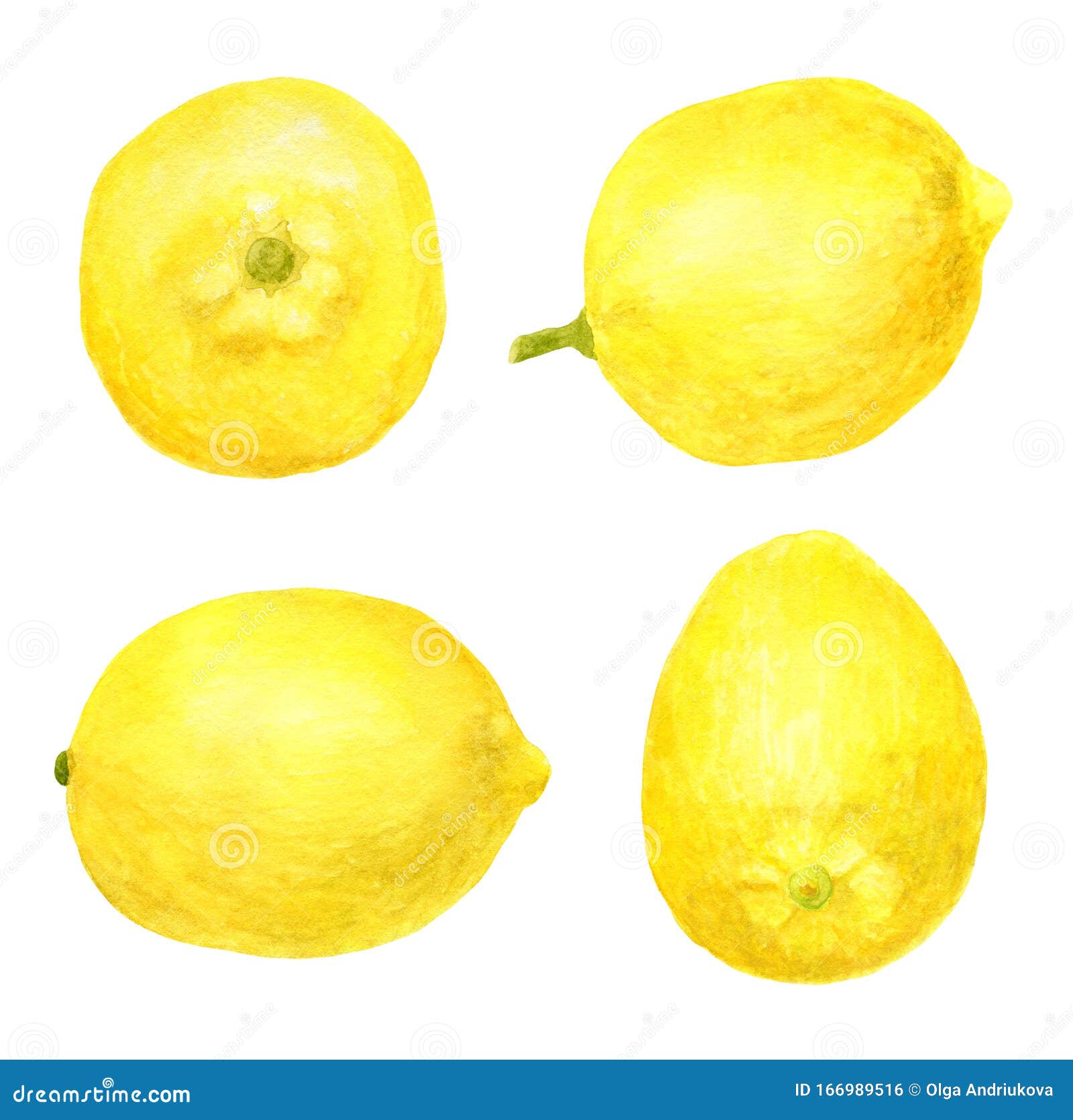 watercolor lemons set. hand drawn food  for  and decoration. yellow fruits  on white background.