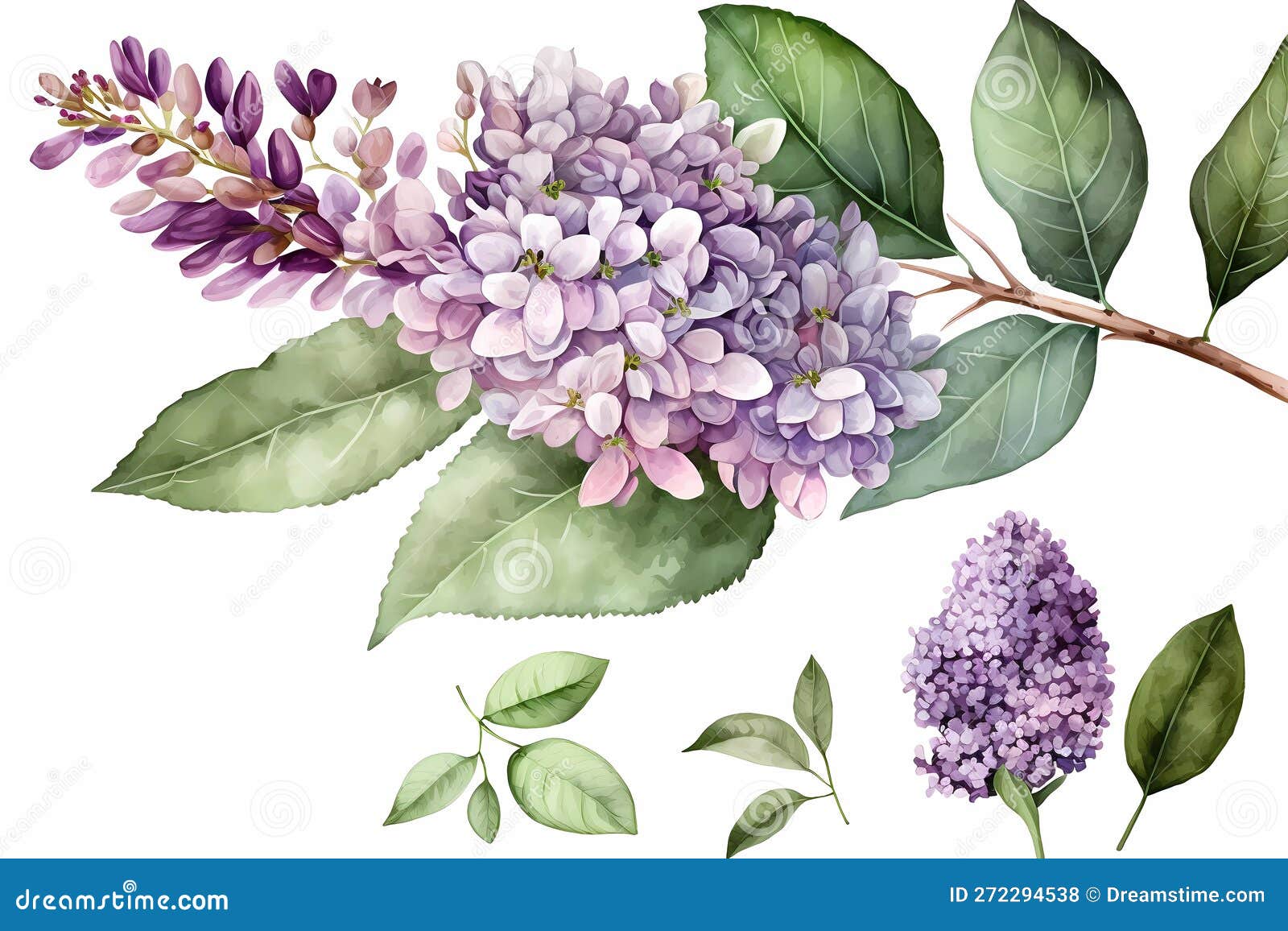 Lavender Spiroglyphics Coloring Book: Beautiful Purple Flower
