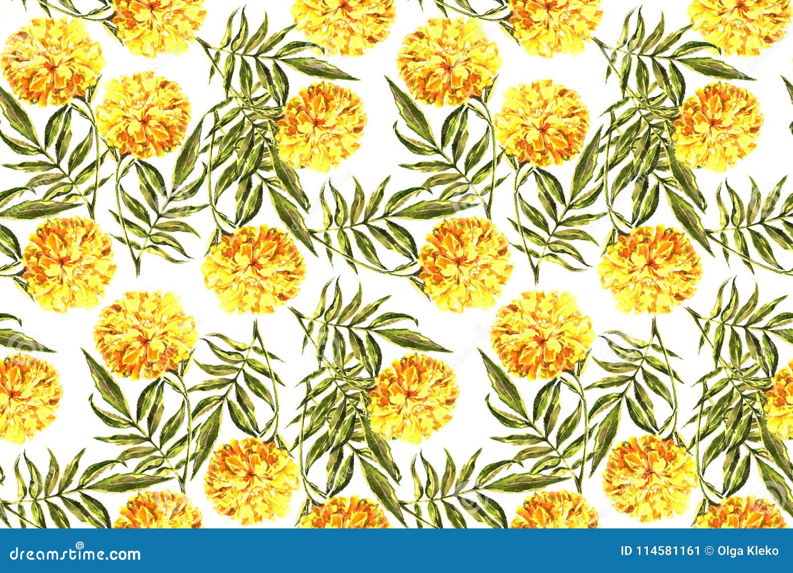 Watercolor Marigold with Leaf. Floral Seamless Pattern on a White Background.  Stock Illustration - Illustration of background, ethnic: 114581161