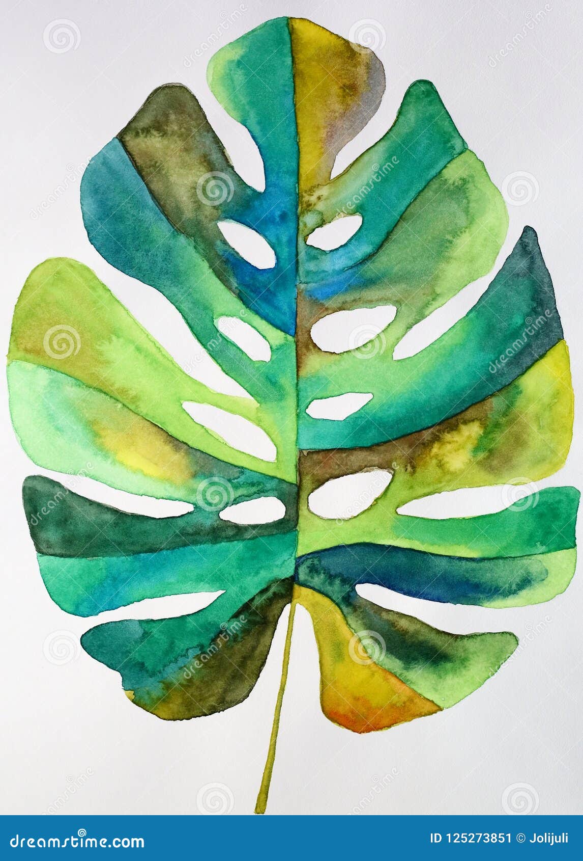 watercolor monstera leaf