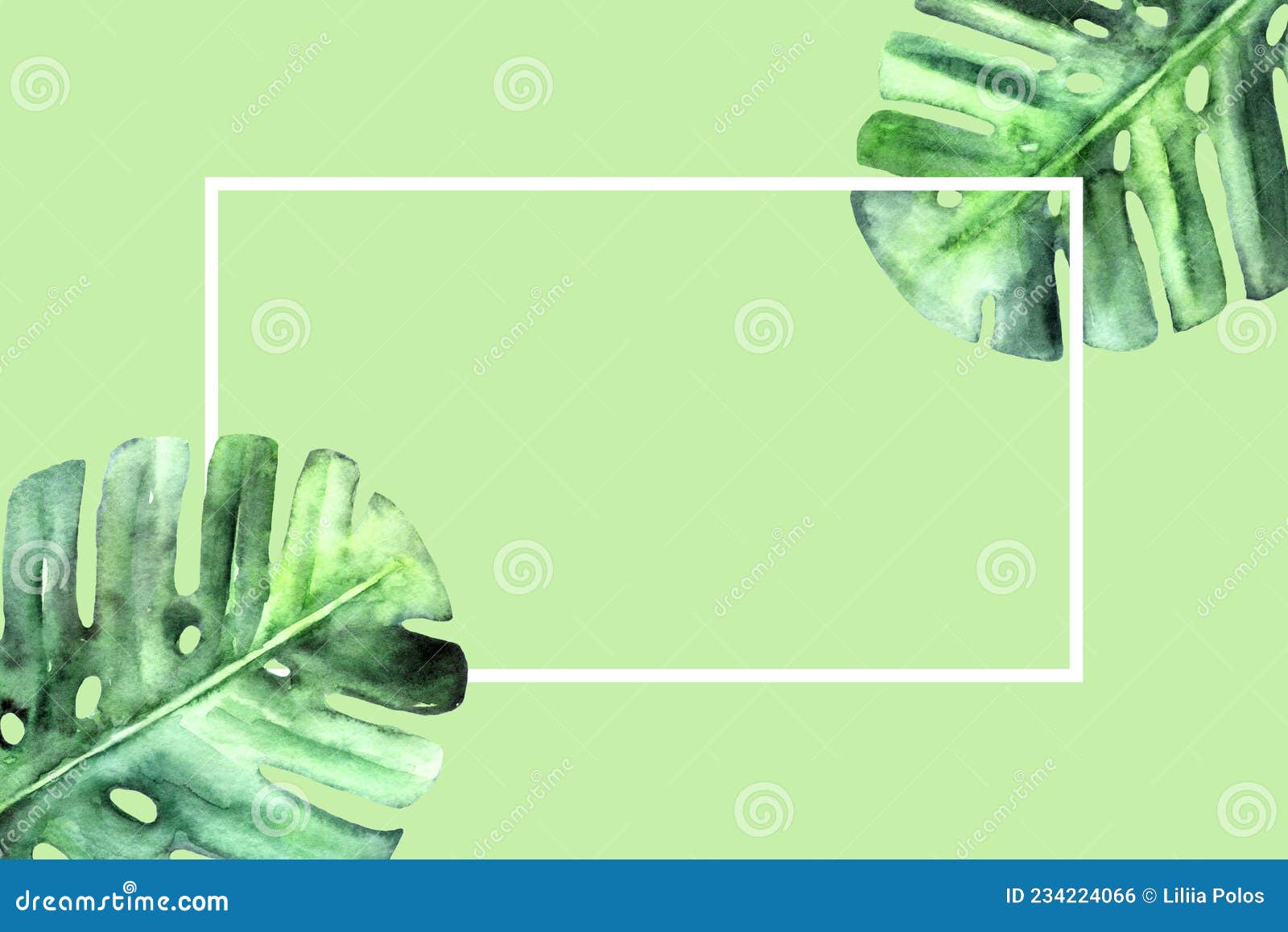 watercolor monstera leaves on light green background. botanical nature frame with white border and place for text. flat