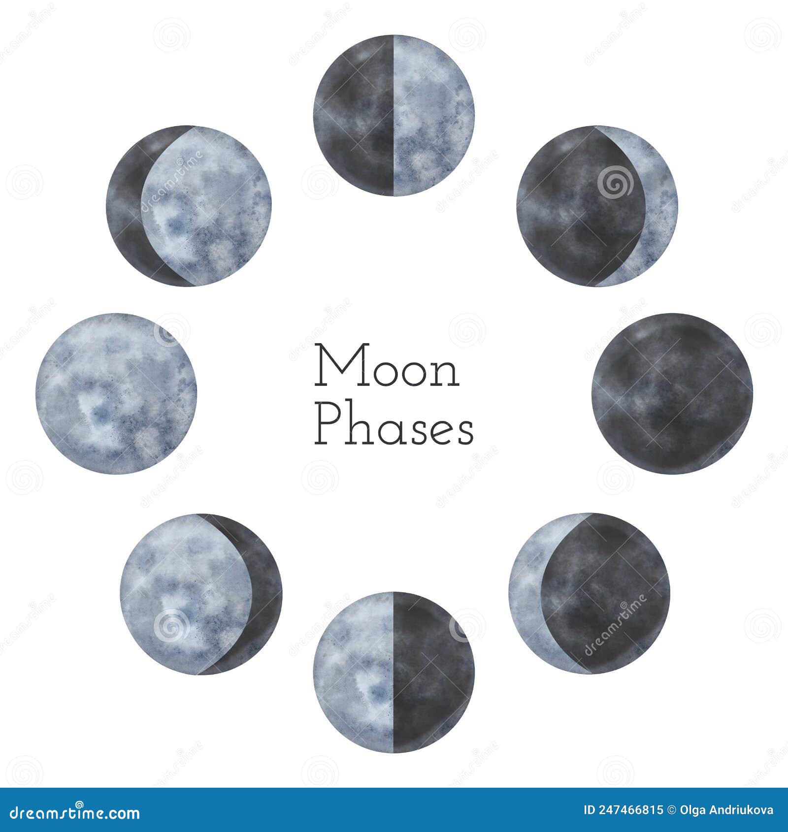 Watercolor Moon Phases Cycle: Full, Crescent, Quarter, Waning, Waxing ...