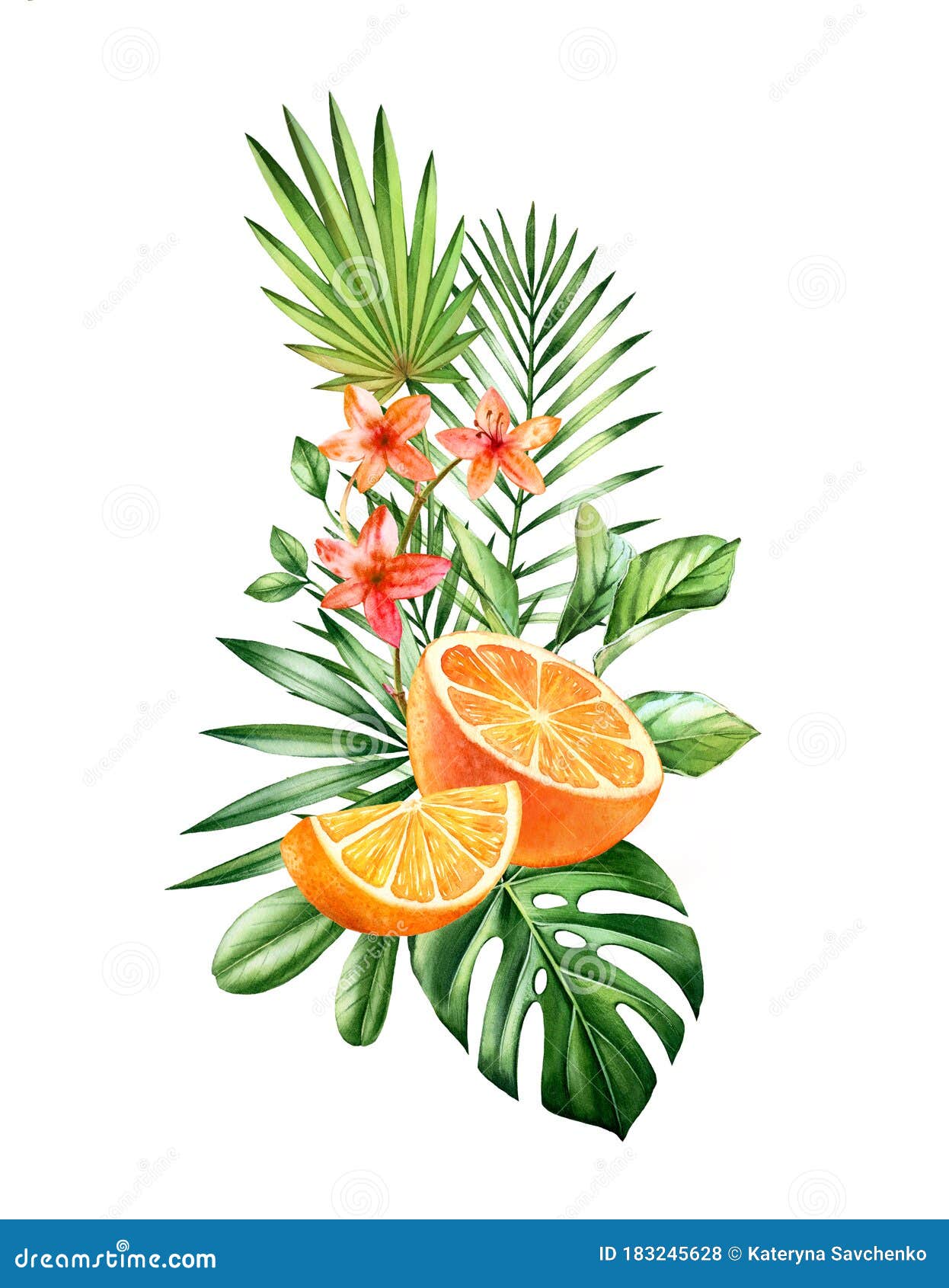 Download Watercolor Orange Fruits. Vertical Bouquet With Juicy ...