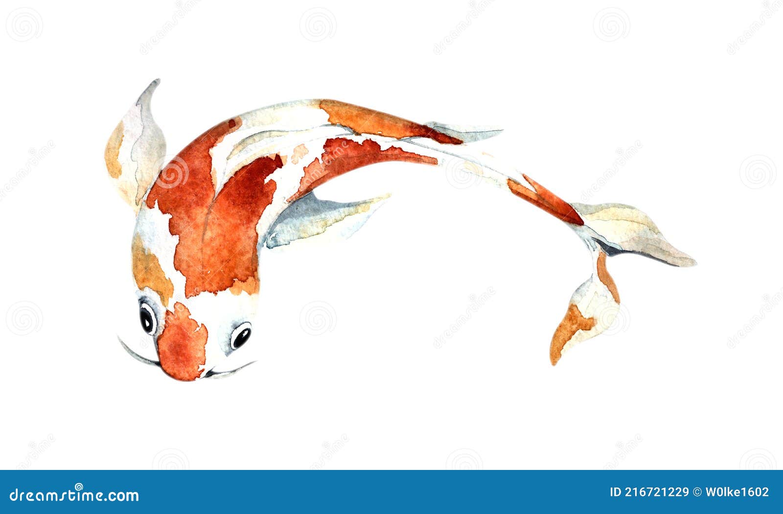 Watercolor Orange Koi, Beautiful Fish on an Isolated White ...