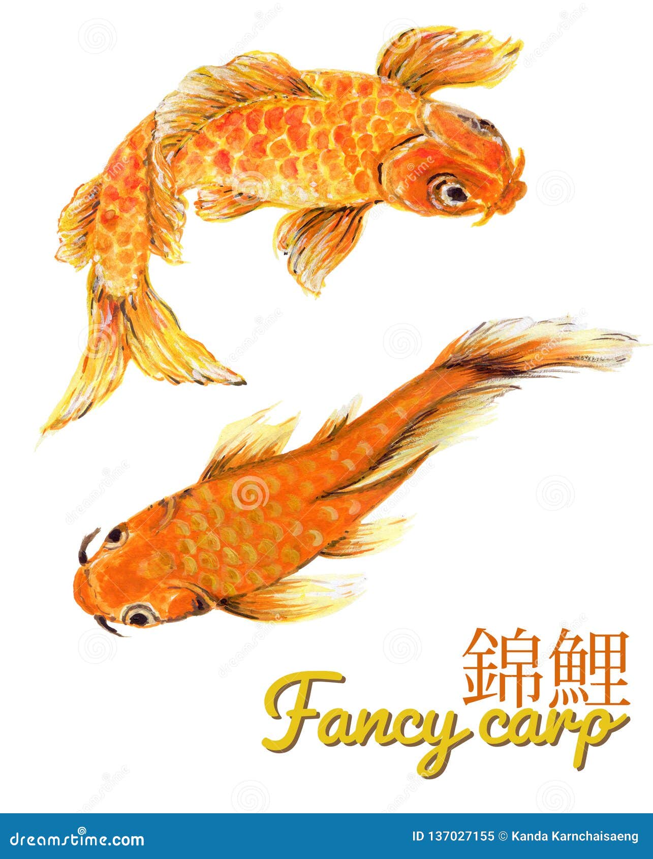 Flexible Stencil *KOI FISH* Jumping Carp Gold Fish Card Making 14cm x 14cm
