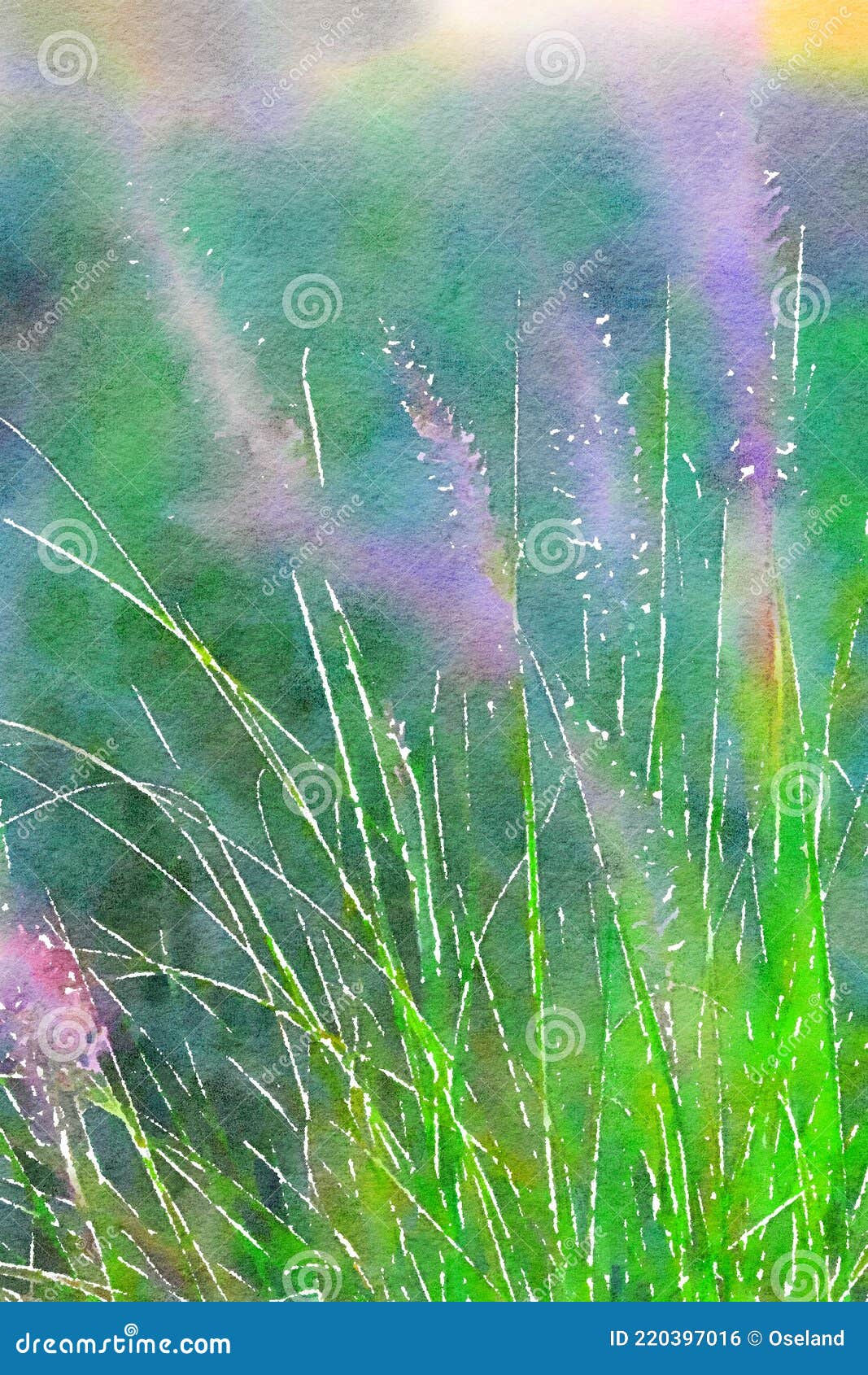 watercolor of ornamental grass with flower spikes. digitalart.