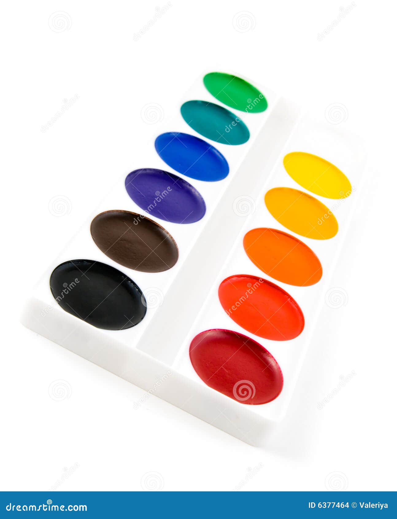 Watercolor paint tray stock photo. Image of preference 6377464
