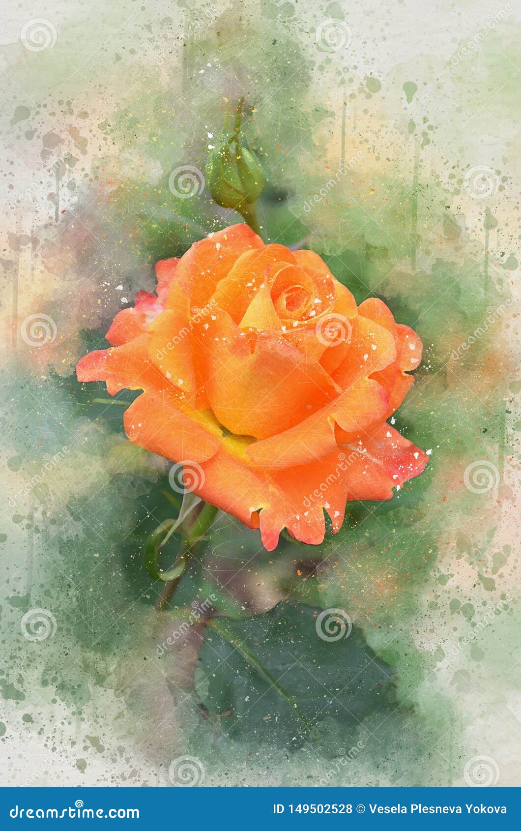 Watercolor Painted Beautiful Orange Roses Stock Photo - Image of ...