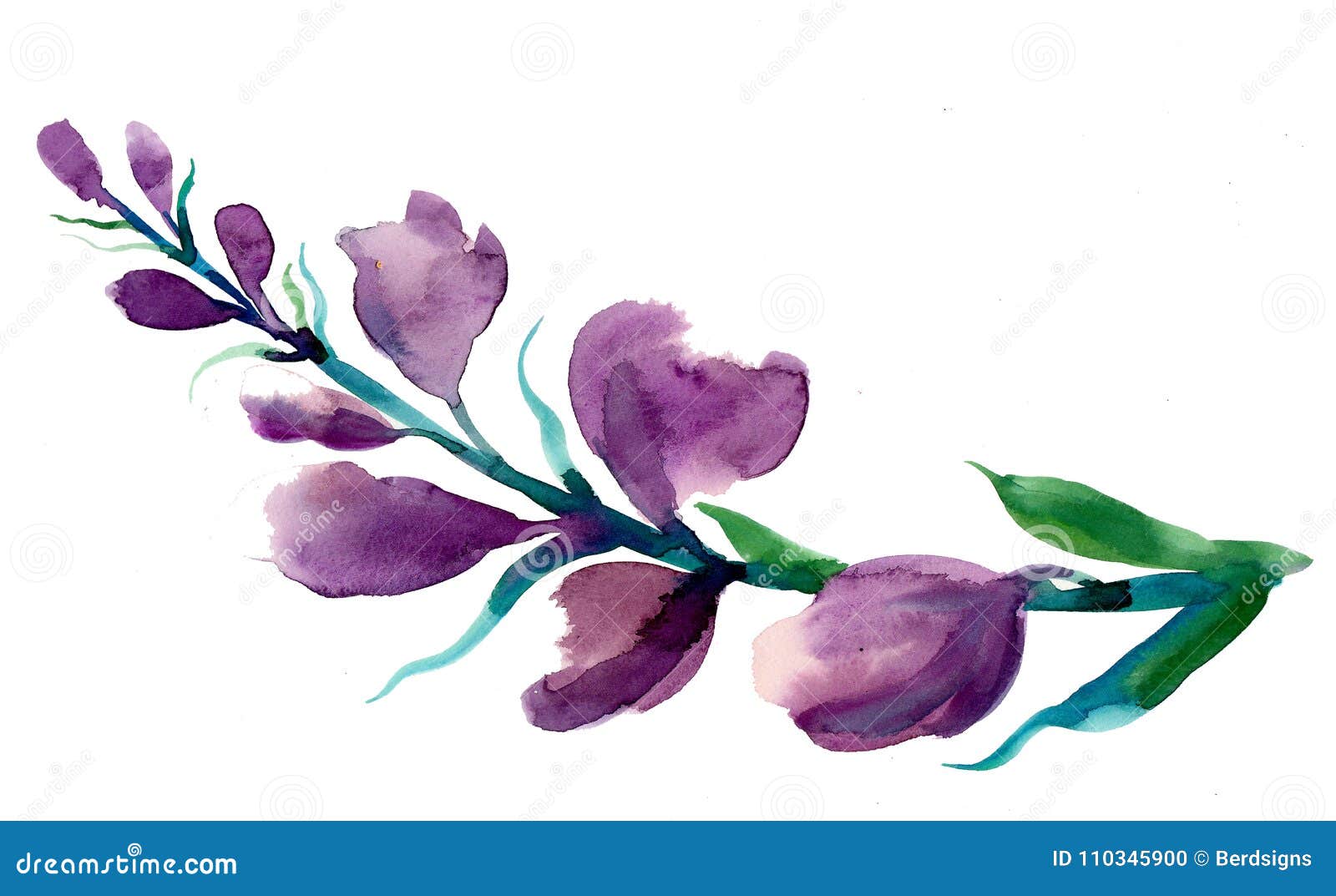 Purple Flowers On Branch Stock Illustration. Illustration Of Sketch - 110345900