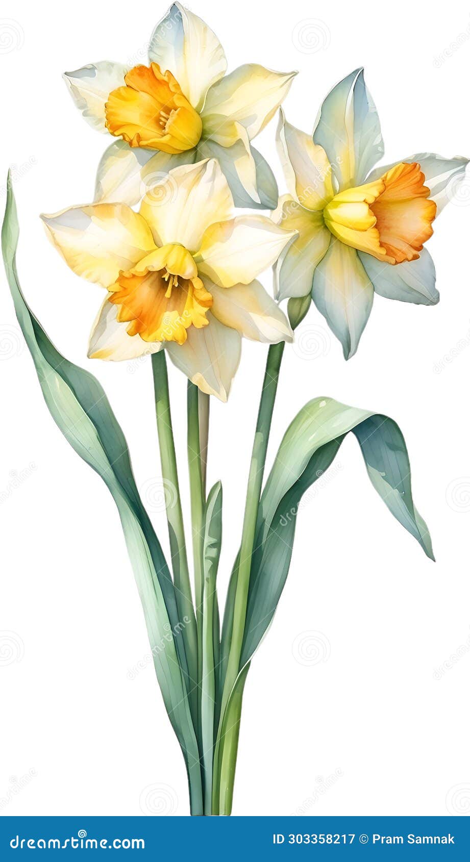 Watercolor Painting of Daffodil Flower. Illustration of Flowers. AI ...