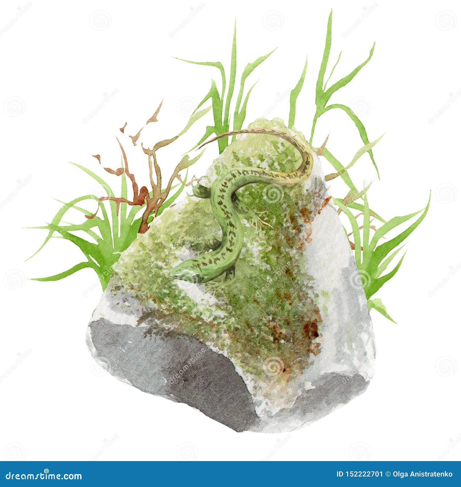 Moss graphic drawing isolated element green Vector Image