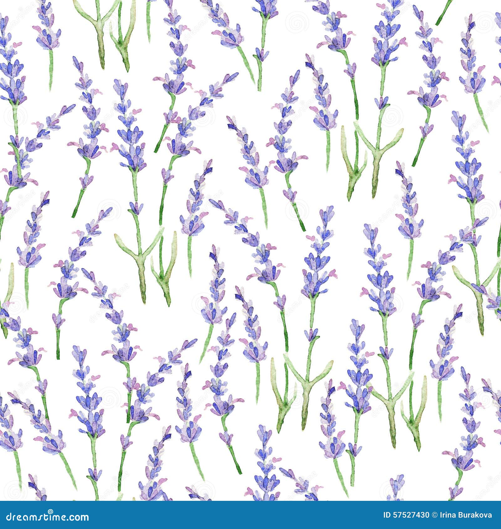 Watercolor Pattern with Lavender. Stock Illustration - Illustration of
