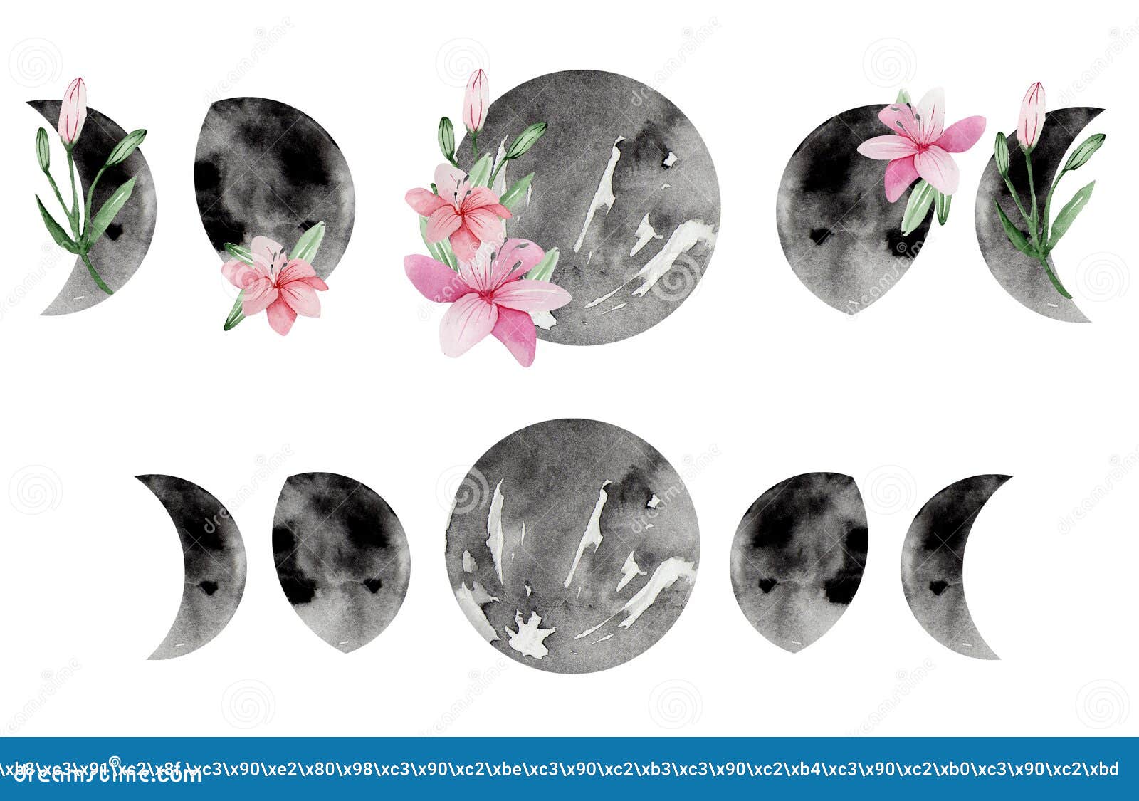 Watercolor Phases of the Moon Decorated with Pink Lilies, Female Moon Stock  Image - Image of fortune, lilies: 208304413